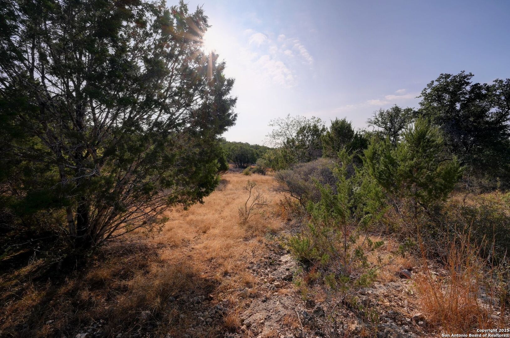 308 River Ridge Spring Branch, TX 78070 - Photo 10 of 39