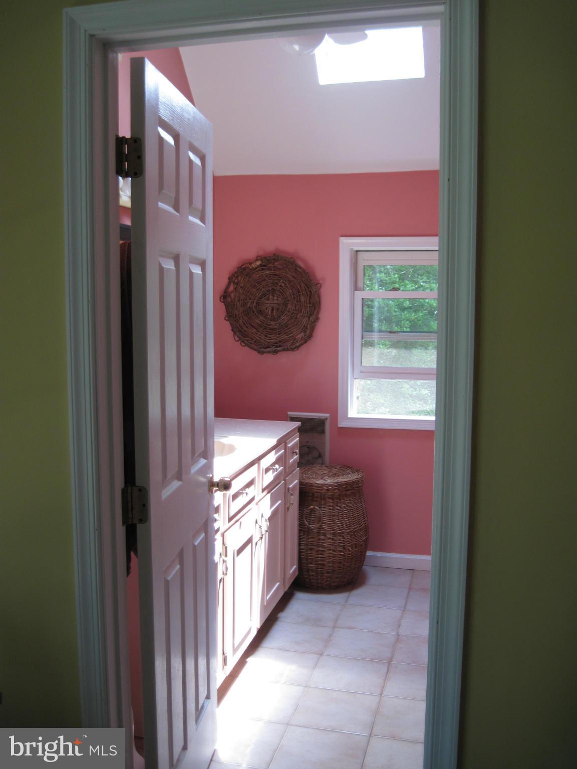 9041 New Road McDaniel, MD 21647 - Photo 17 of 30 Master bath with skylights