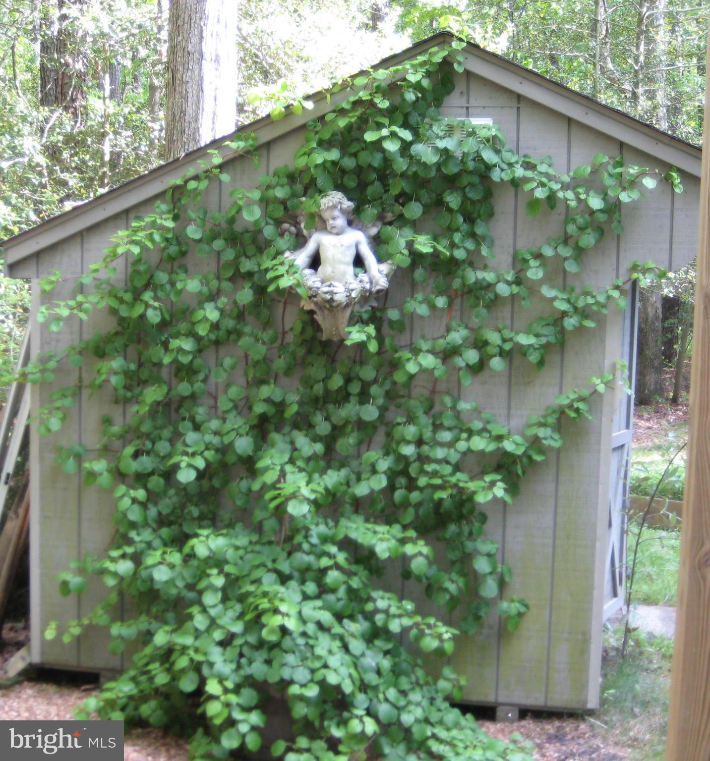 9041 New Road McDaniel, MD 21647 - Photo 24 of 30 Storage & garden shed