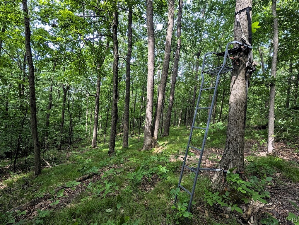 Keifer Hollow Road Dansville, NY 14437 - Photo 15 of 33