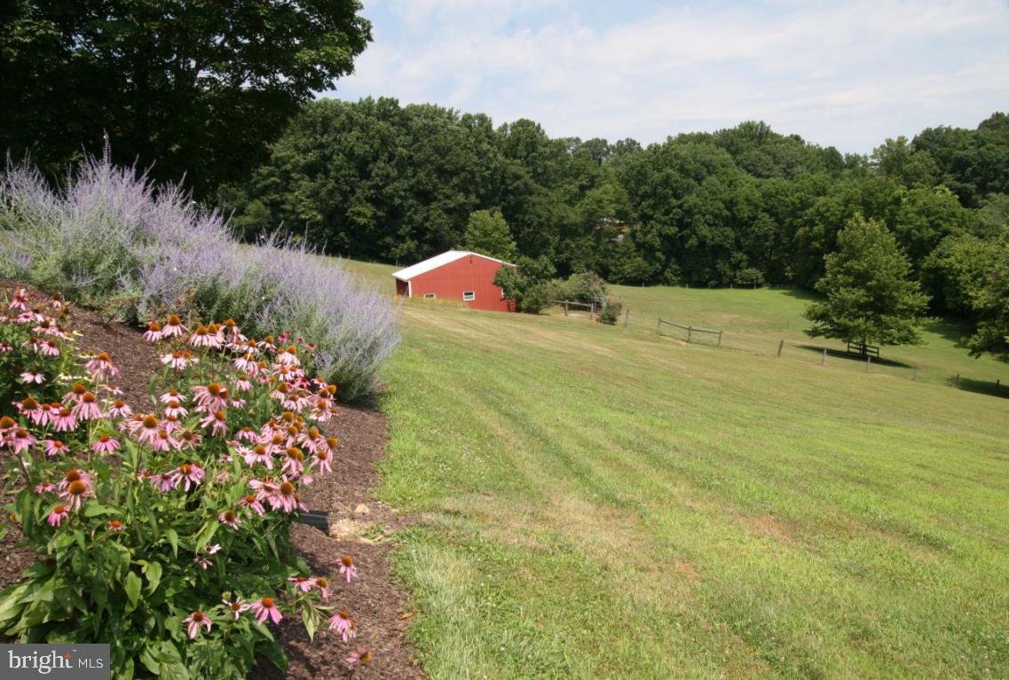 295 Goods Road Conestoga, PA 17516 - Photo 32 of 34 Gallery Image 32