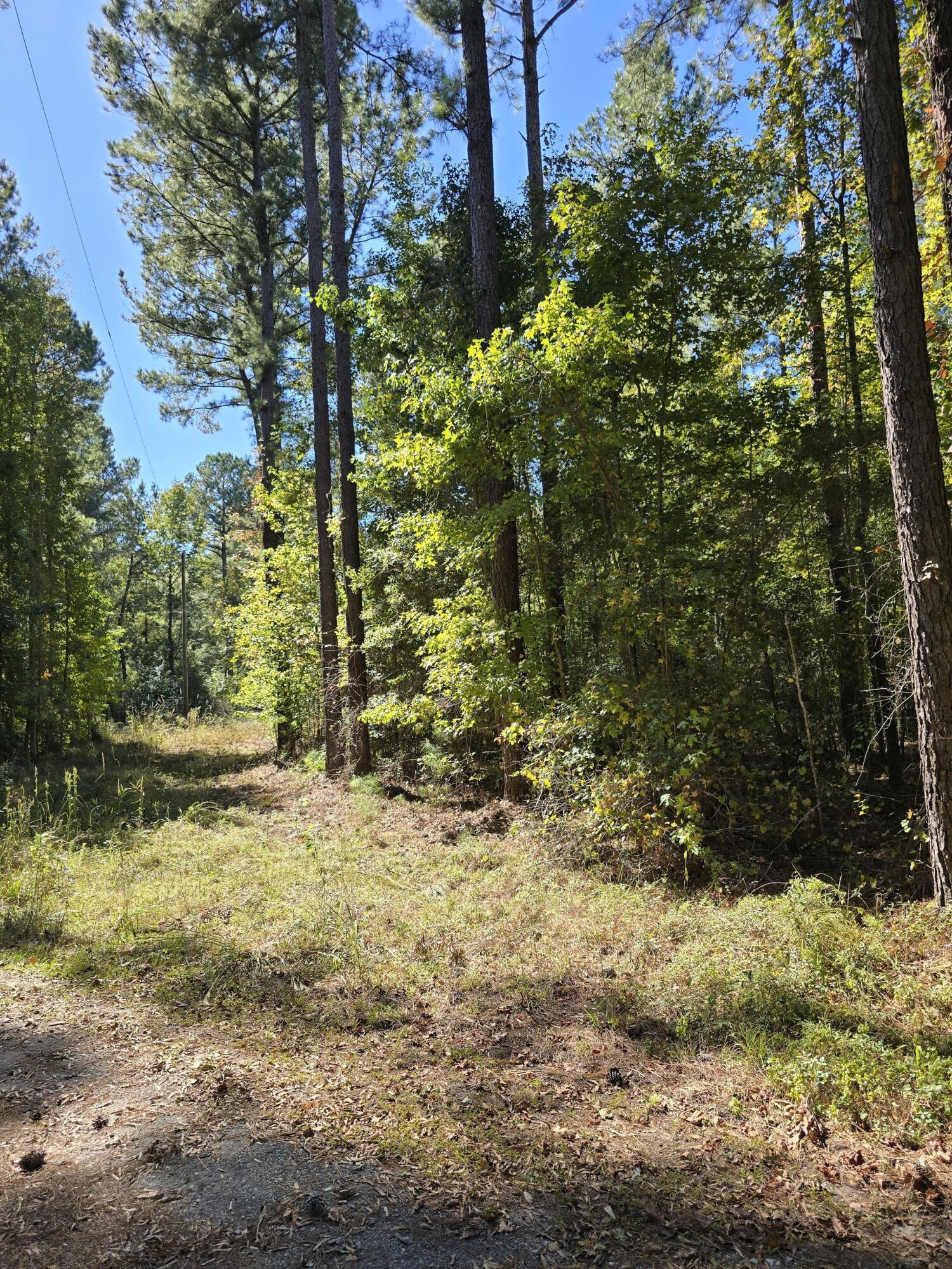 0 Deep Woods Road St. George, SC 29477 - Photo 4 of 10 pro-bv1iZSiC
