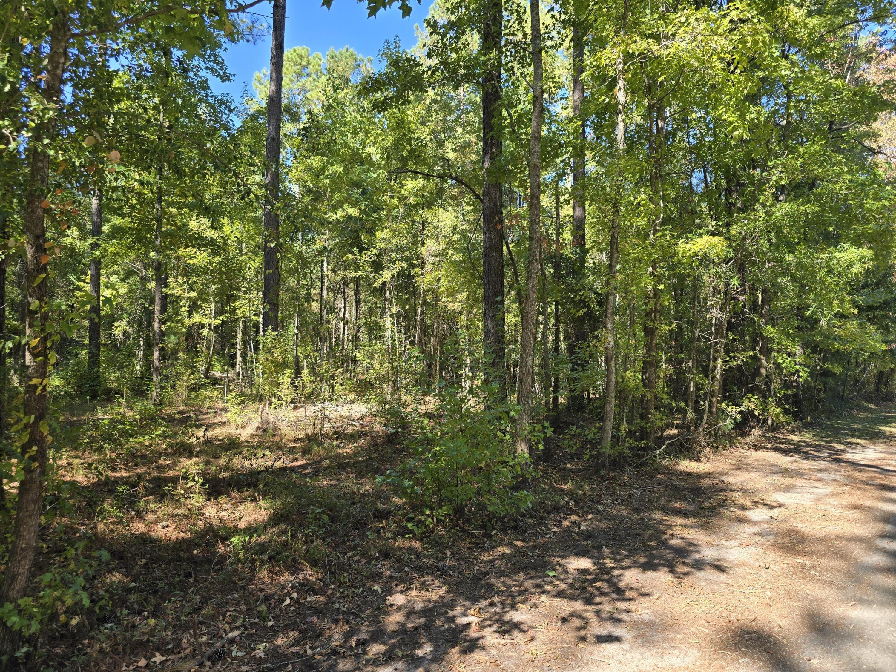 0 Deep Woods Road St. George, SC 29477 - Photo 7 of 10 pro-kUyhzEcE