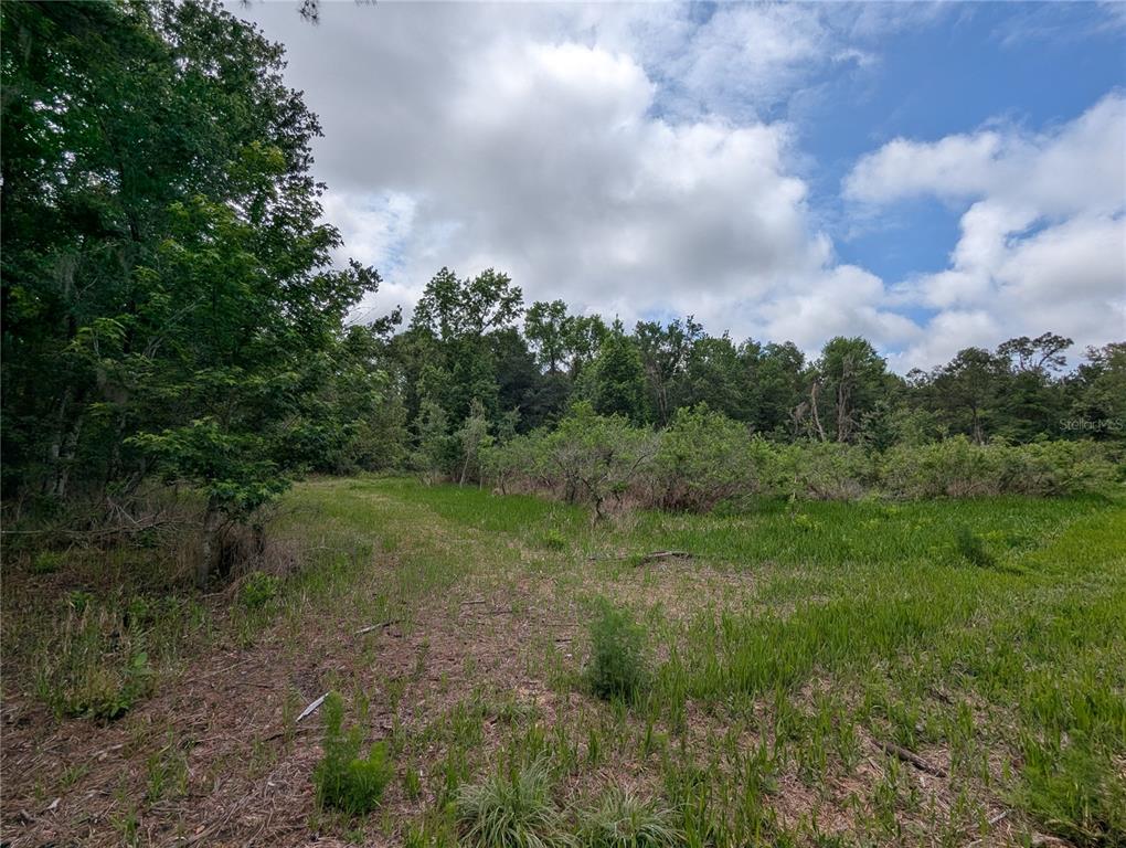 91st Street Alachua, FL 32615 - Photo 23 of 36 a view of a big yard with lots of green space