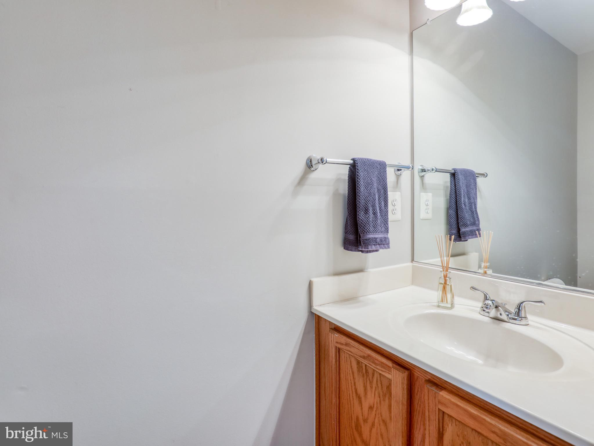 17372 Legacy Terrace Round Hill, VA 20141 - Photo 15 of 24 Powder Room