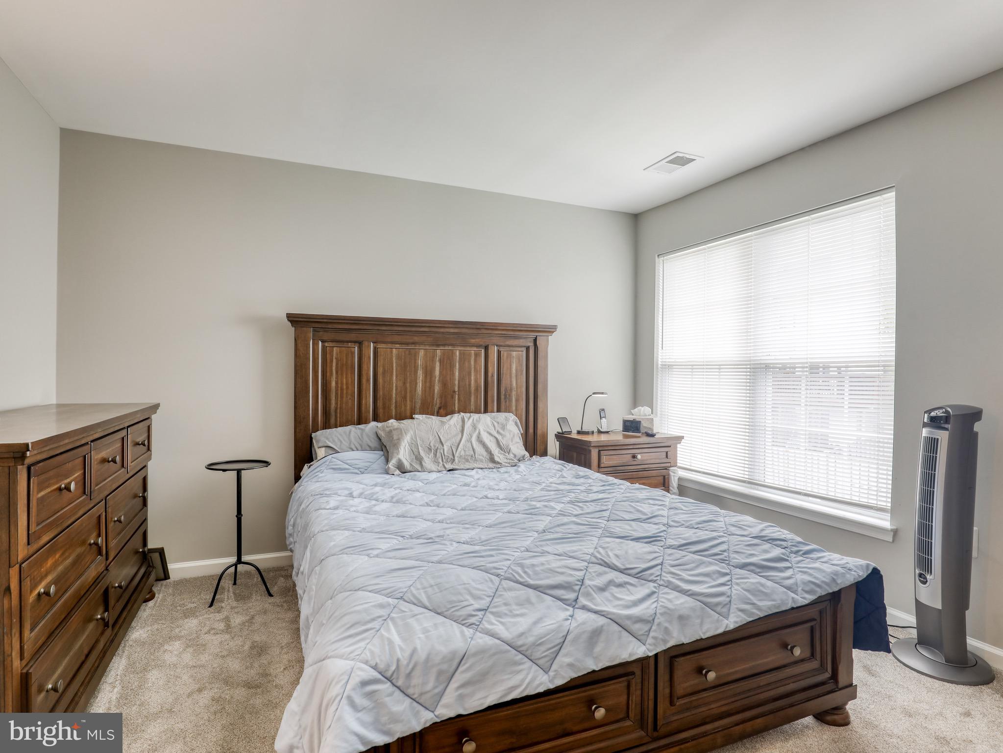 17372 Legacy Terrace Round Hill, VA 20141 - Photo 19 of 24 Primary Bedroom