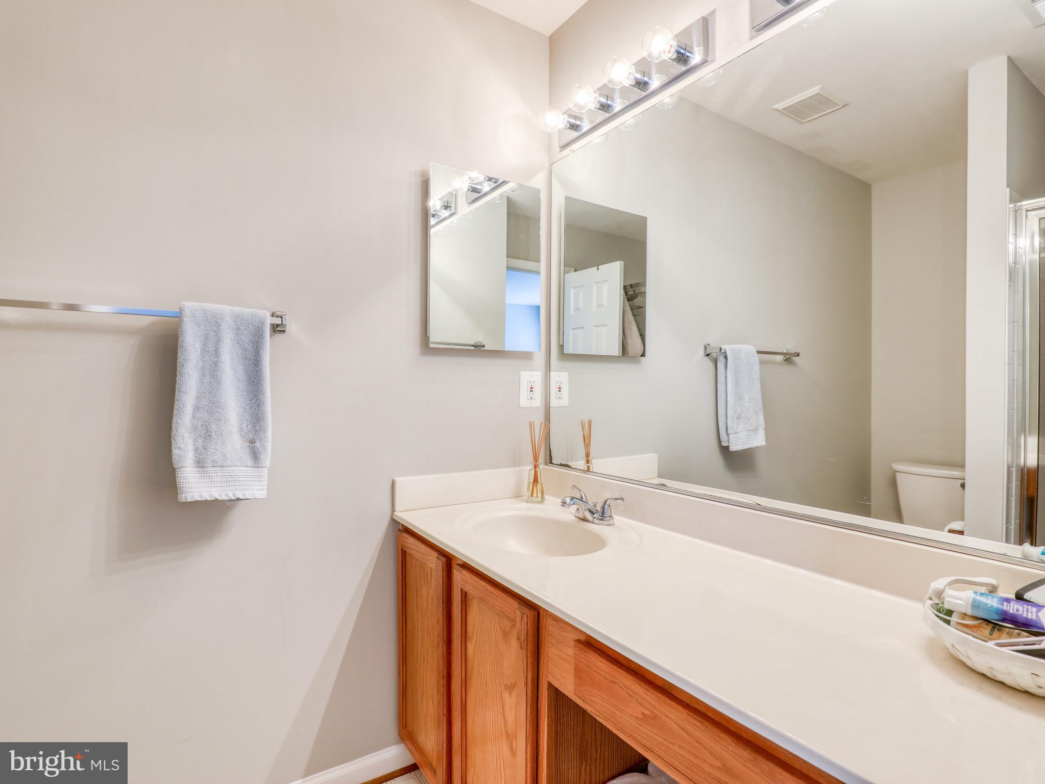 17372 Legacy Terrace Round Hill, VA 20141 - Photo 20 of 24 Primary Bath