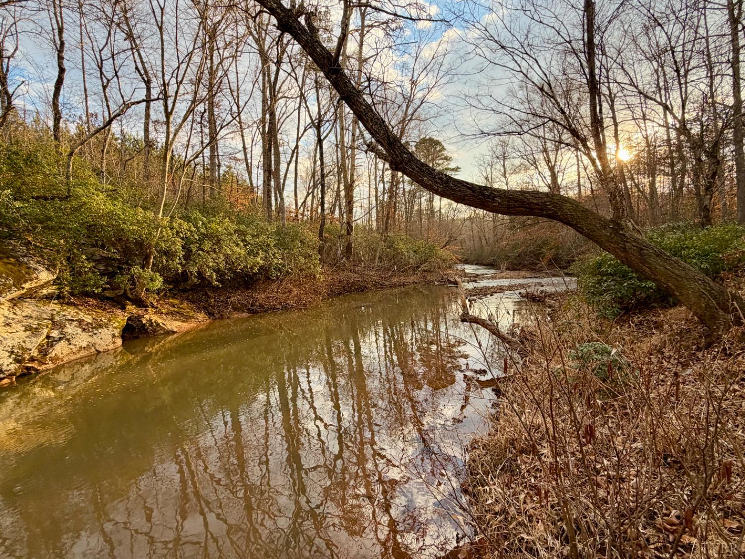 0 East Ferry Road Gladys, VA 24554 - Photo 1 of 45 a view of yard with green space