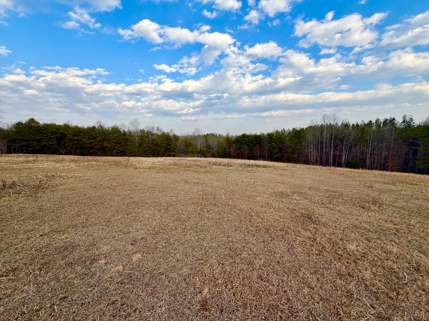 0 East Ferry Road Gladys, VA 24554 - Photo 12 of 45