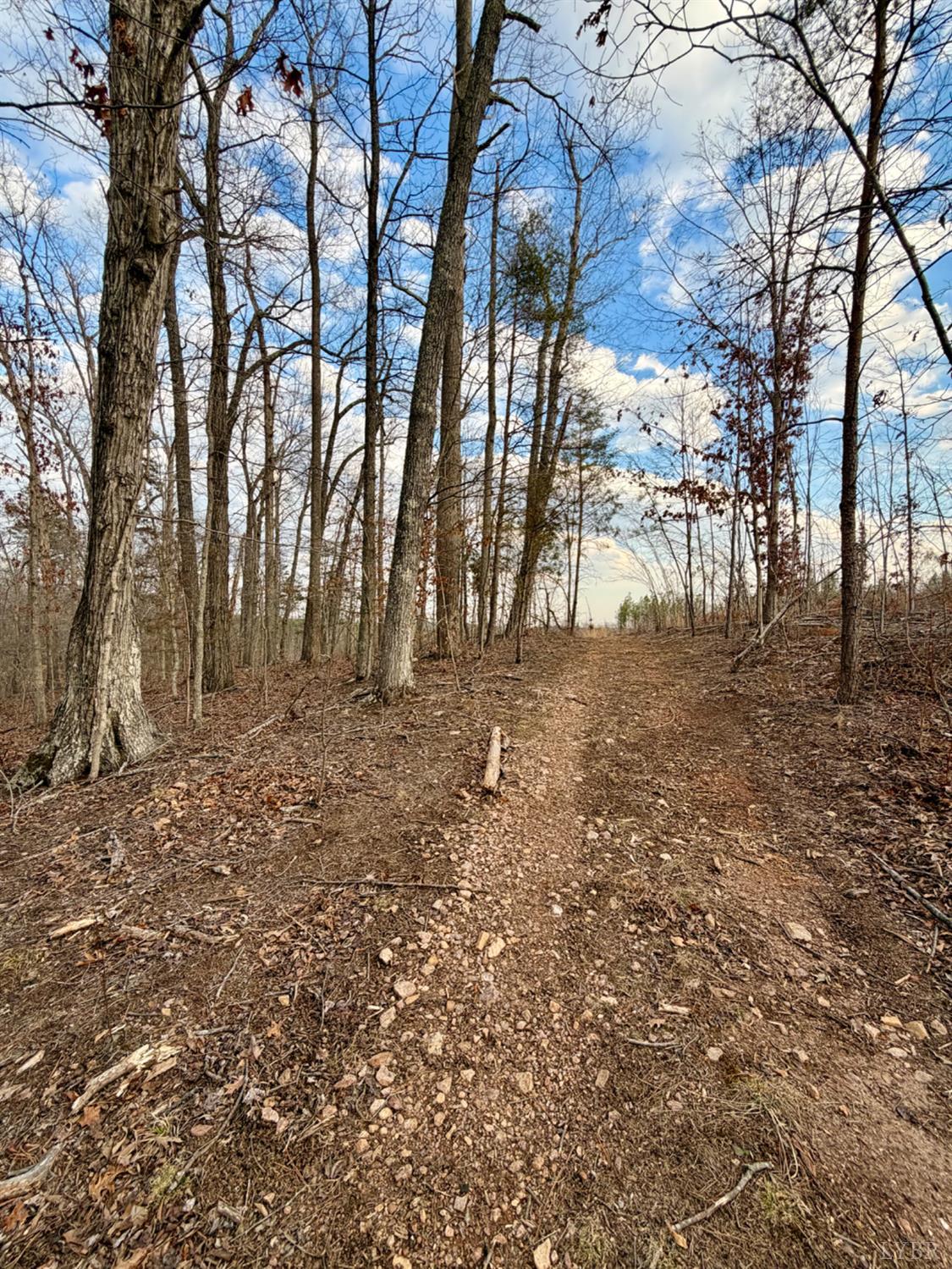 0 East Ferry Road Gladys, VA 24554 - Photo 17 of 45
