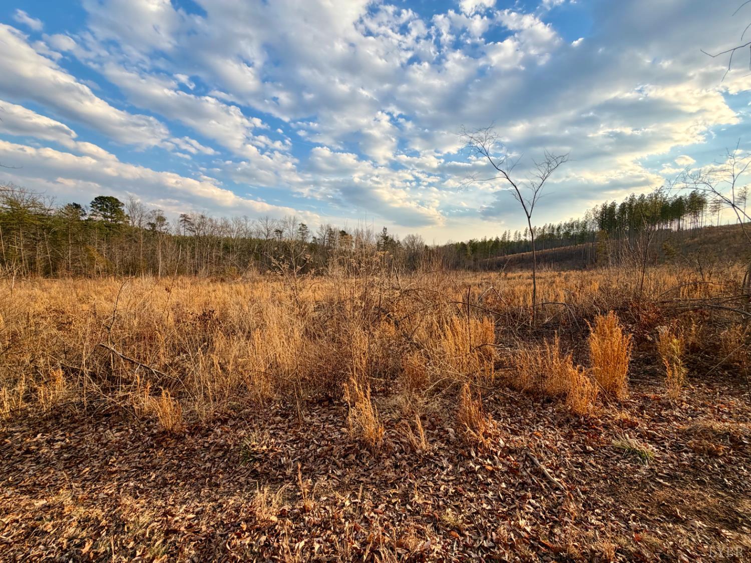 0 East Ferry Road Gladys, VA 24554 - Photo 19 of 45 a view of a lake from a yard
