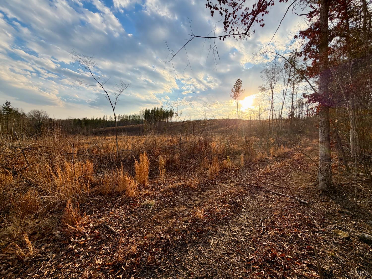 0 East Ferry Road Gladys, VA 24554 - Photo 20 of 45