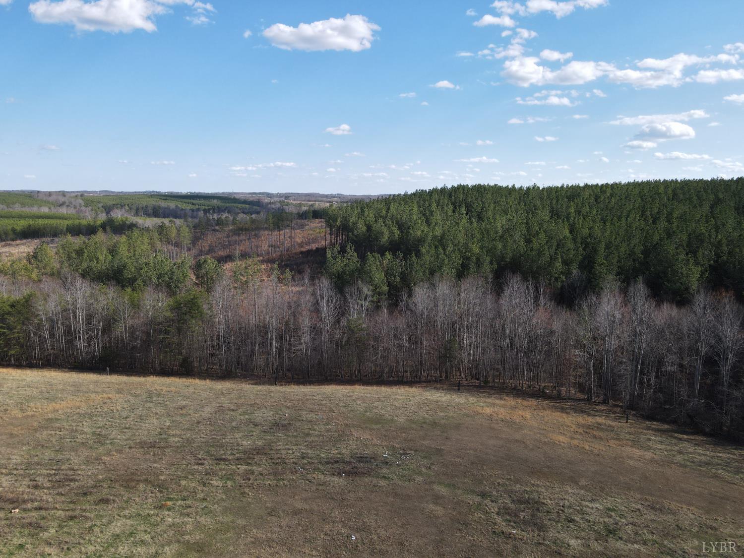 0 East Ferry Road Gladys, VA 24554 - Photo 21 of 45