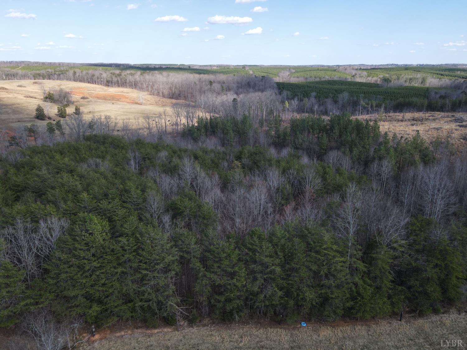 0 East Ferry Road Gladys, VA 24554 - Photo 23 of 45