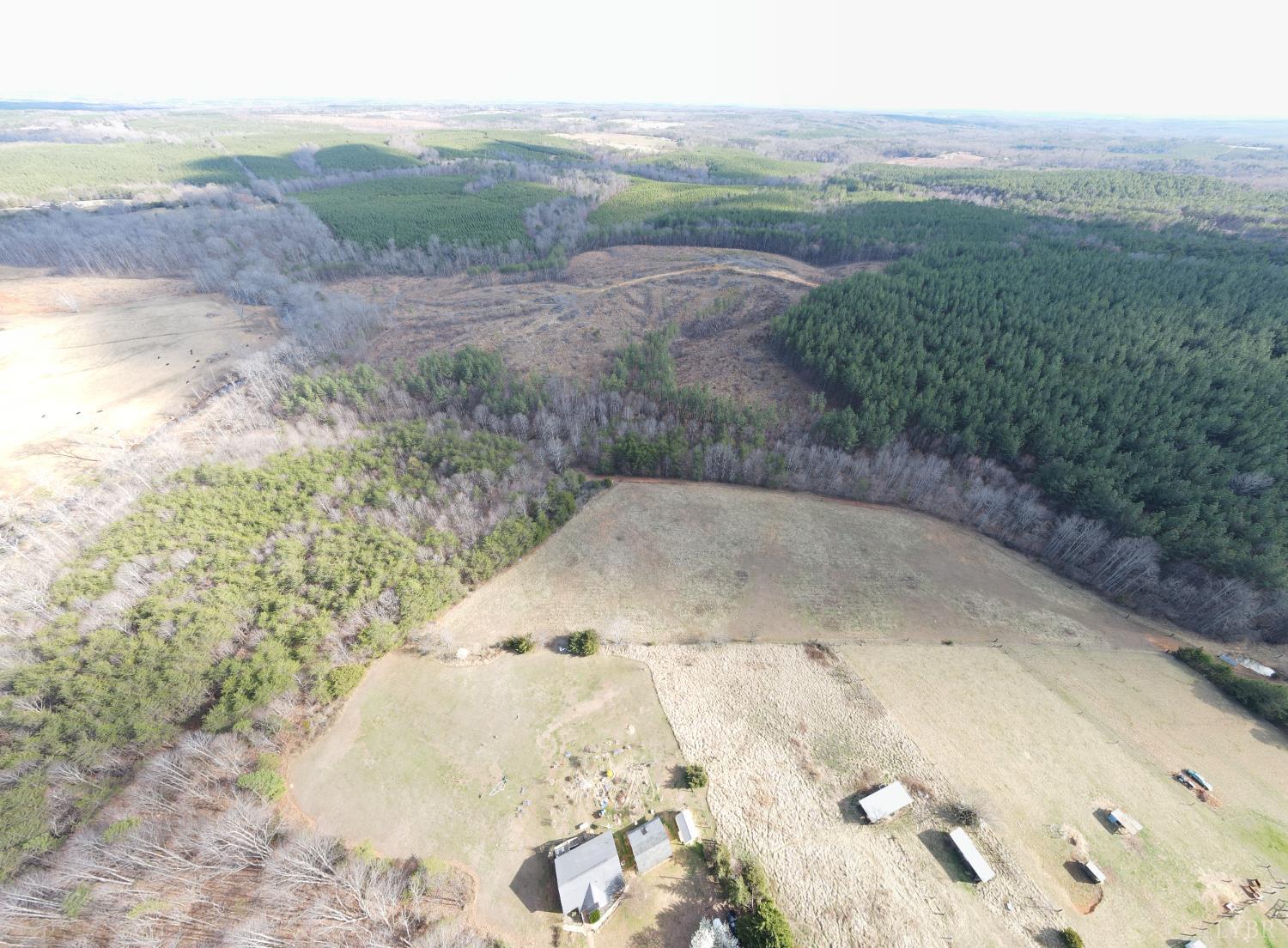 0 East Ferry Road Gladys, VA 24554 - Photo 25 of 45 a view of a dry yard with trees