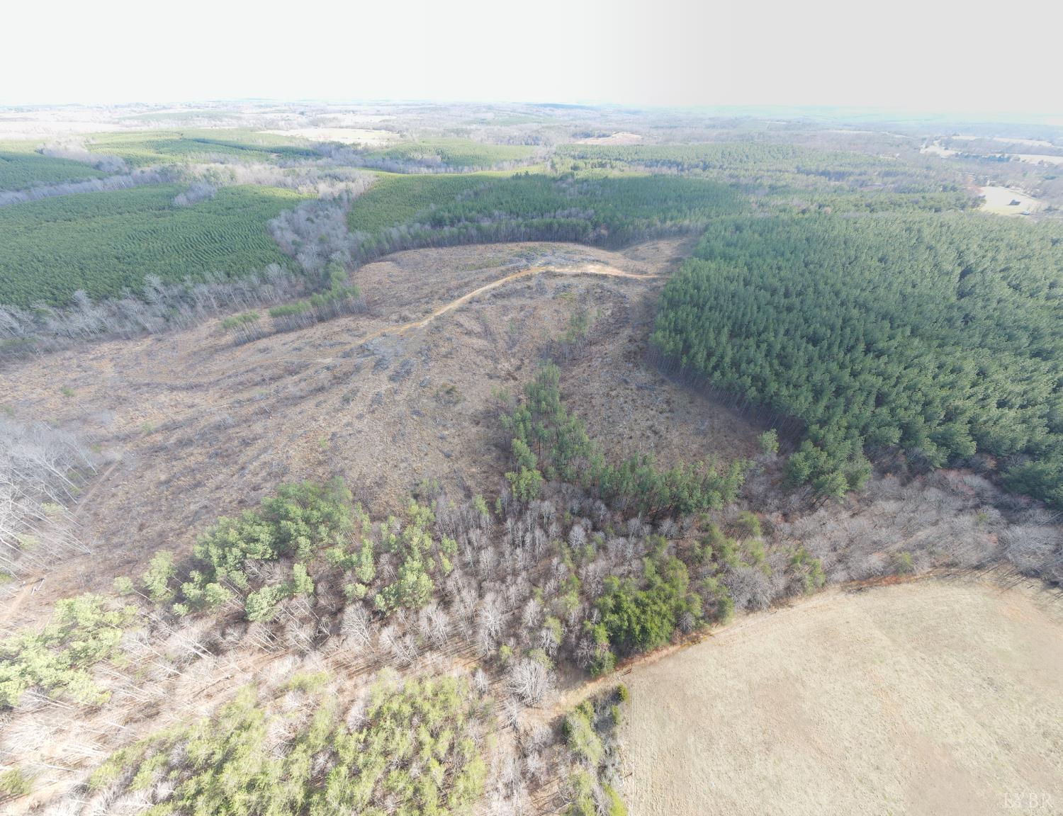 0 East Ferry Road Gladys, VA 24554 - Photo 26 of 45 a view of a dry yard with wooden fence