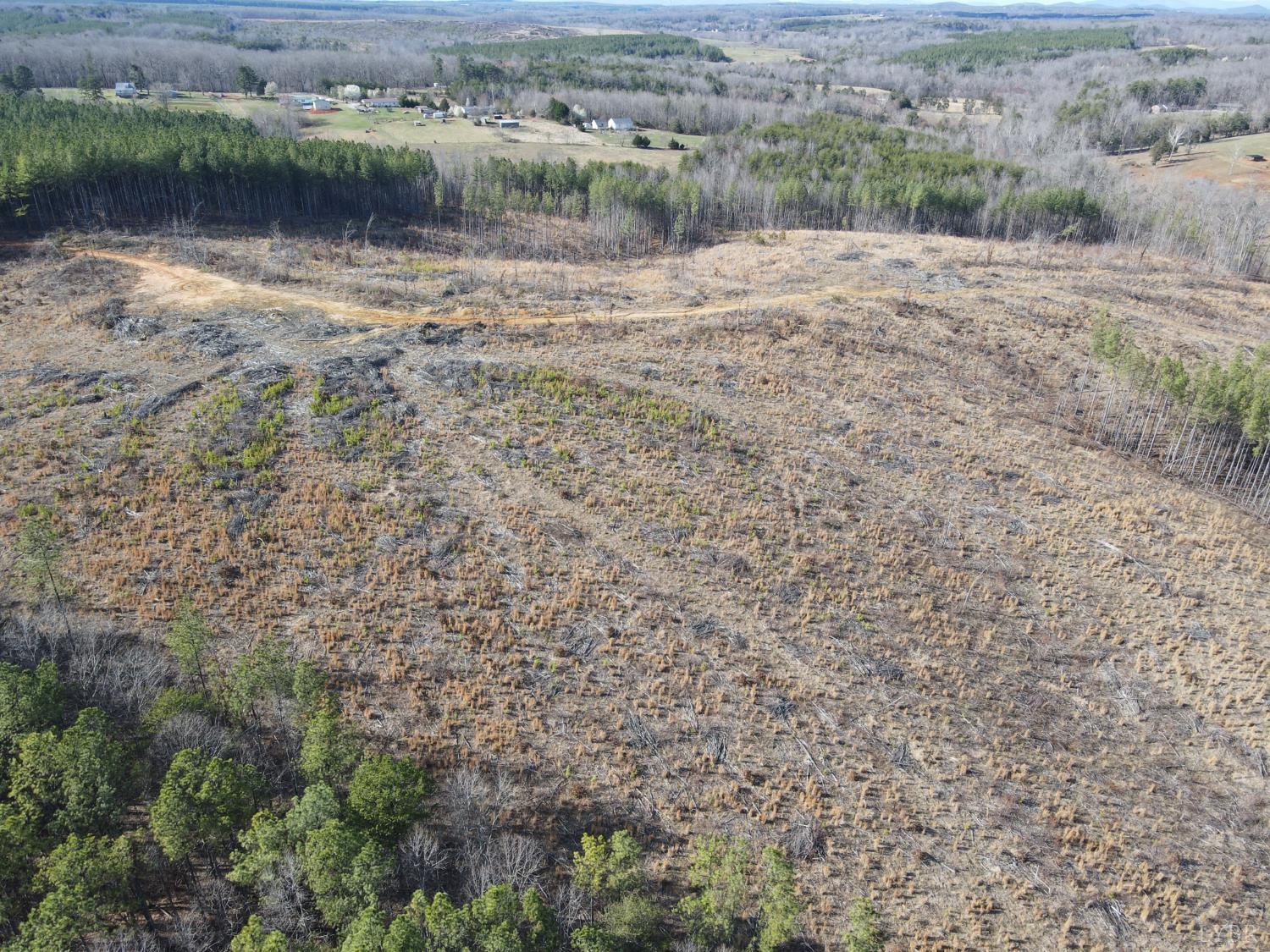 0 East Ferry Road Gladys, VA 24554 - Photo 29 of 45