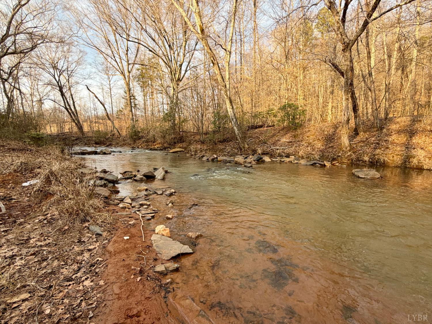 0 East Ferry Road Gladys, VA 24554 - Photo 3 of 45