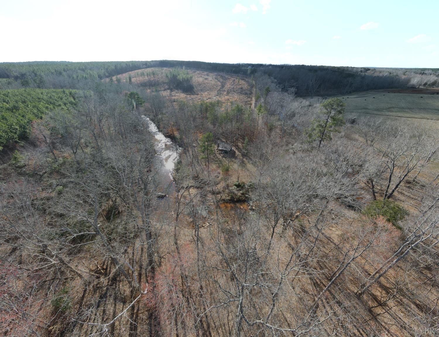 0 East Ferry Road Gladys, VA 24554 - Photo 33 of 45