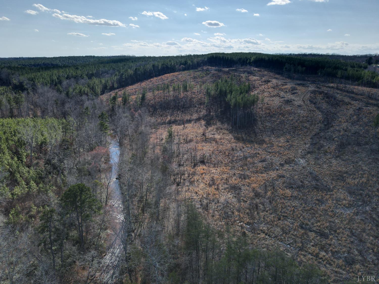 0 East Ferry Road Gladys, VA 24554 - Photo 35 of 45 a view of a dry yard