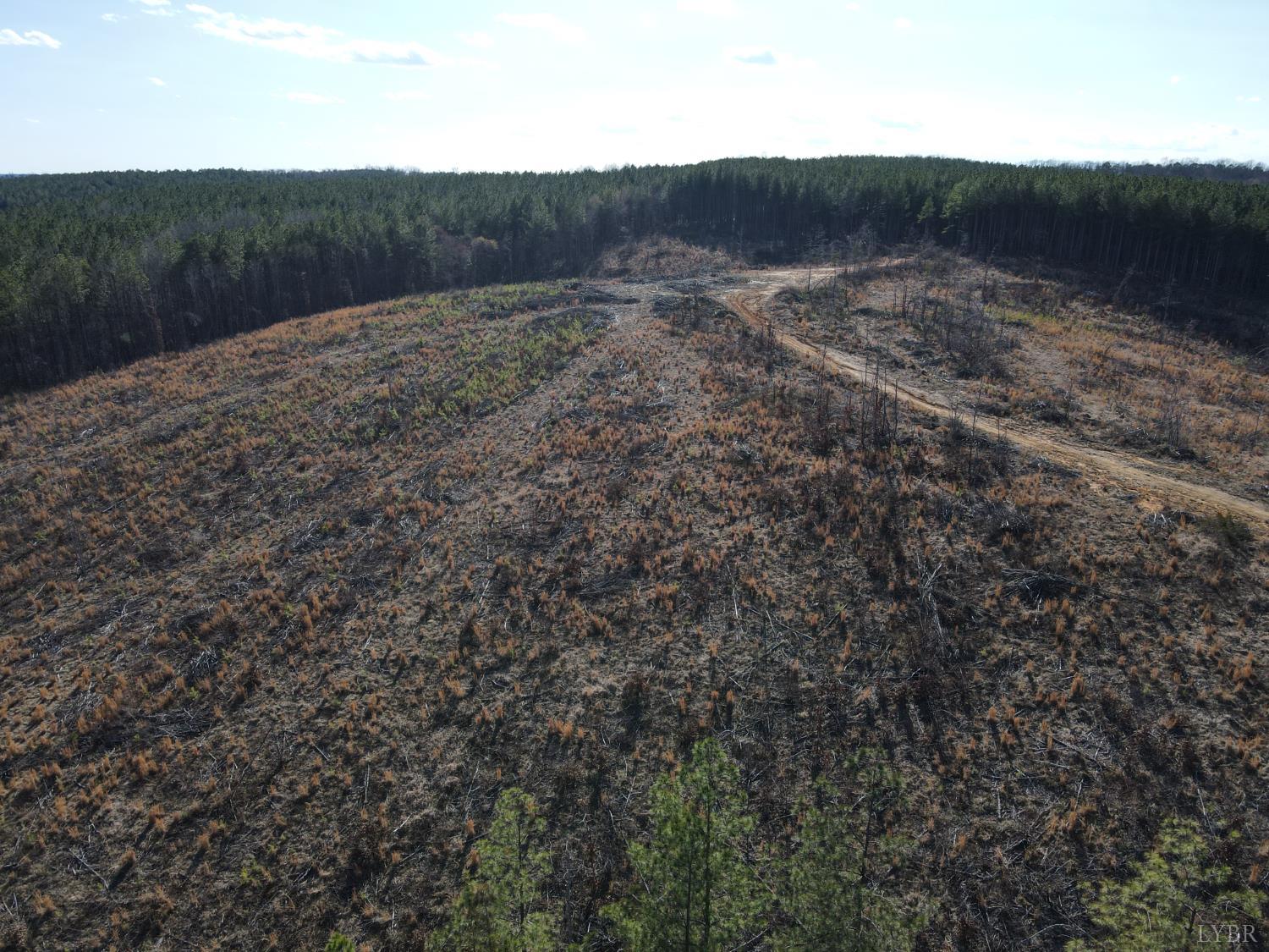 0 East Ferry Road Gladys, VA 24554 - Photo 36 of 45 a view of a dry yard with wooden fence