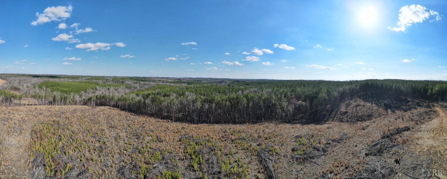 0 East Ferry Road Gladys, VA 24554 - Photo 37 of 45