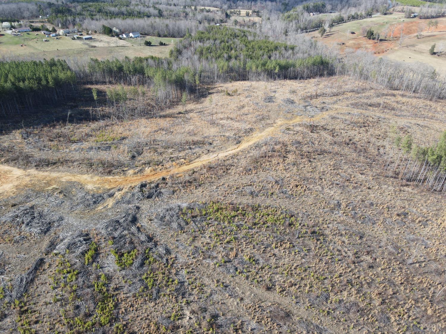 0 East Ferry Road Gladys, VA 24554 - Photo 39 of 45 a view of a dry yard with wooden fence