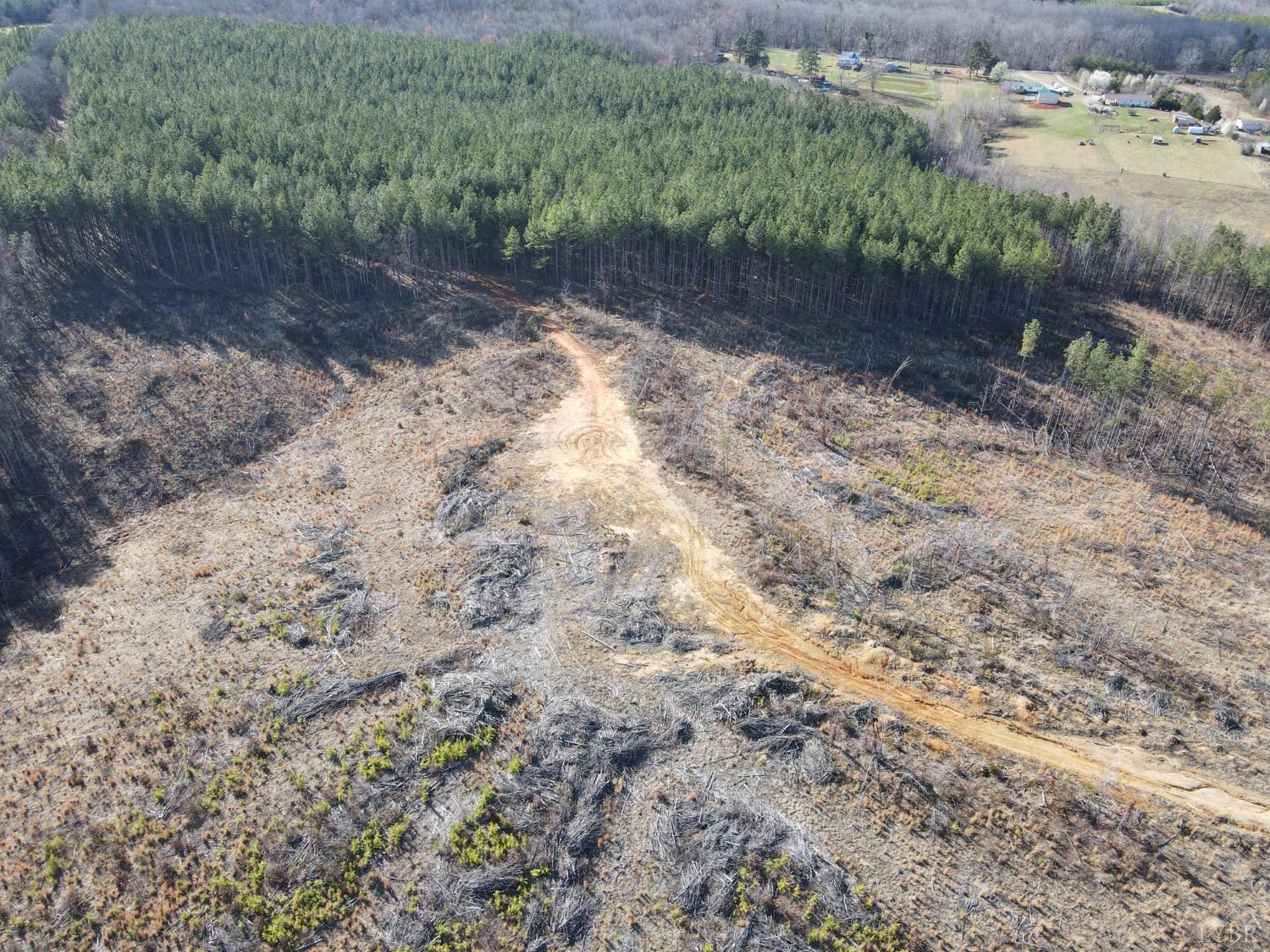 0 East Ferry Road Gladys, VA 24554 - Photo 40 of 45 a view of a dry yard with trees and stairs