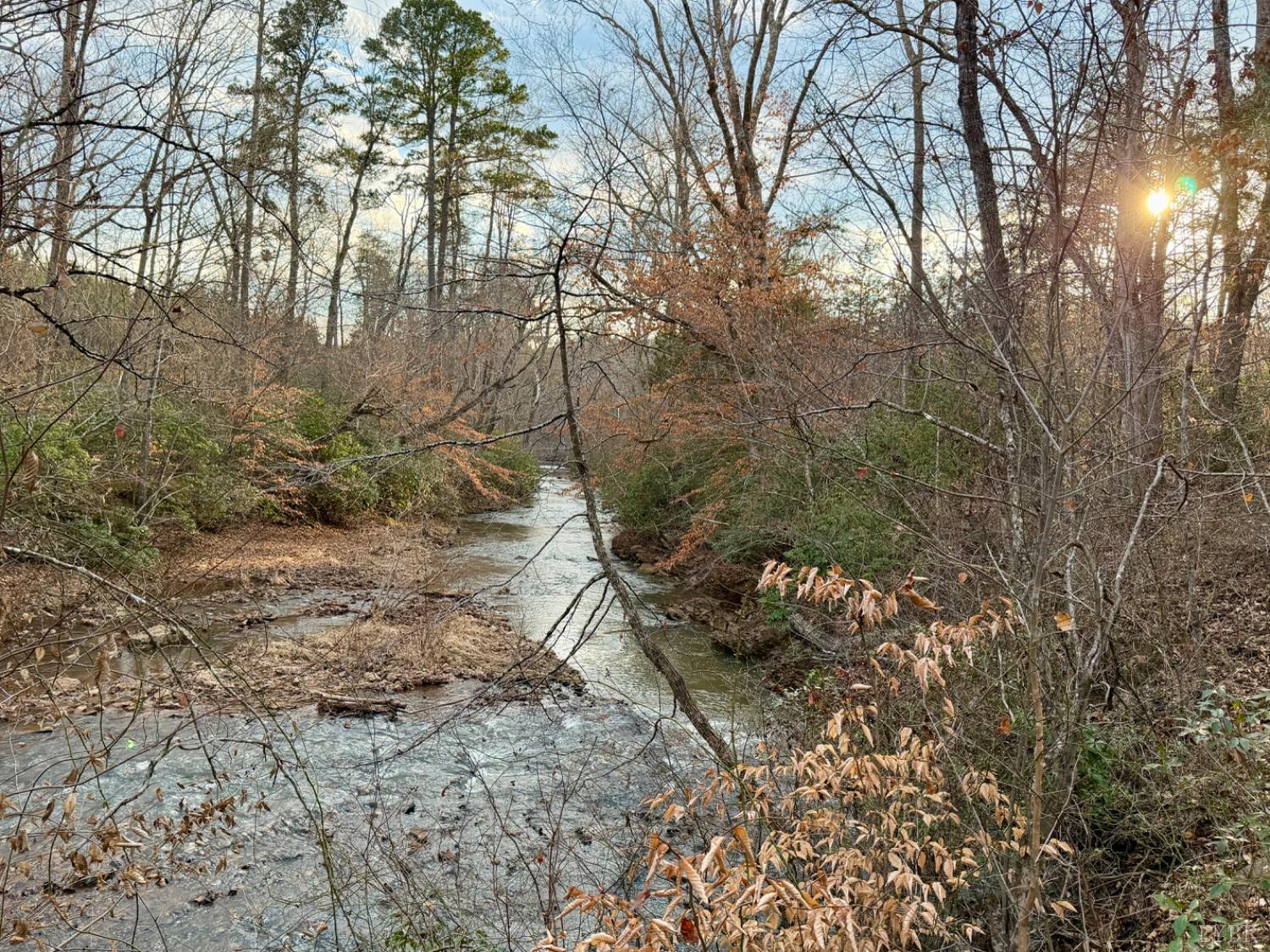 0 East Ferry Road Gladys, VA 24554 - Photo 4 of 45 a backyard of a house with lots of green space