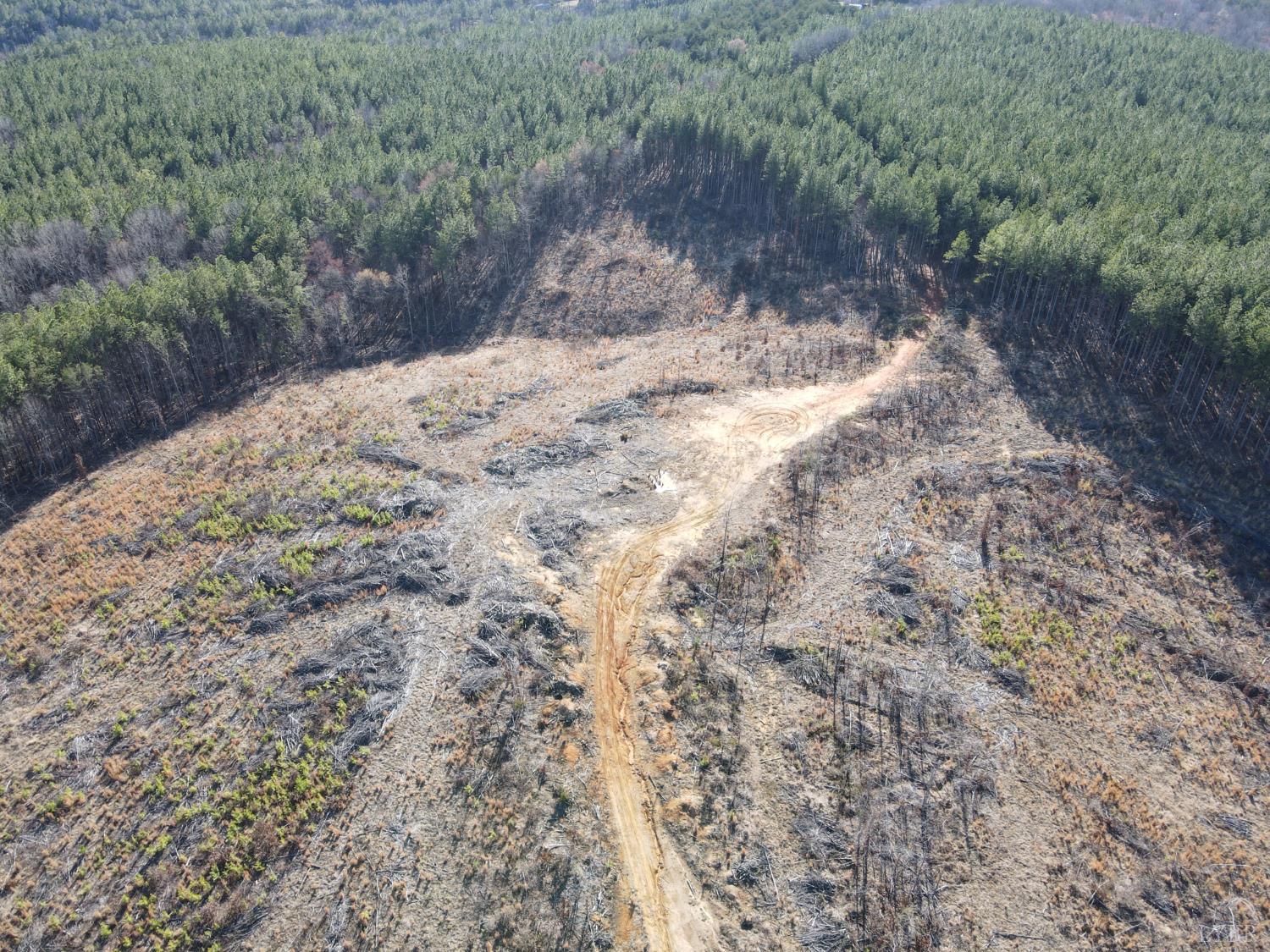 0 East Ferry Road Gladys, VA 24554 - Photo 41 of 45