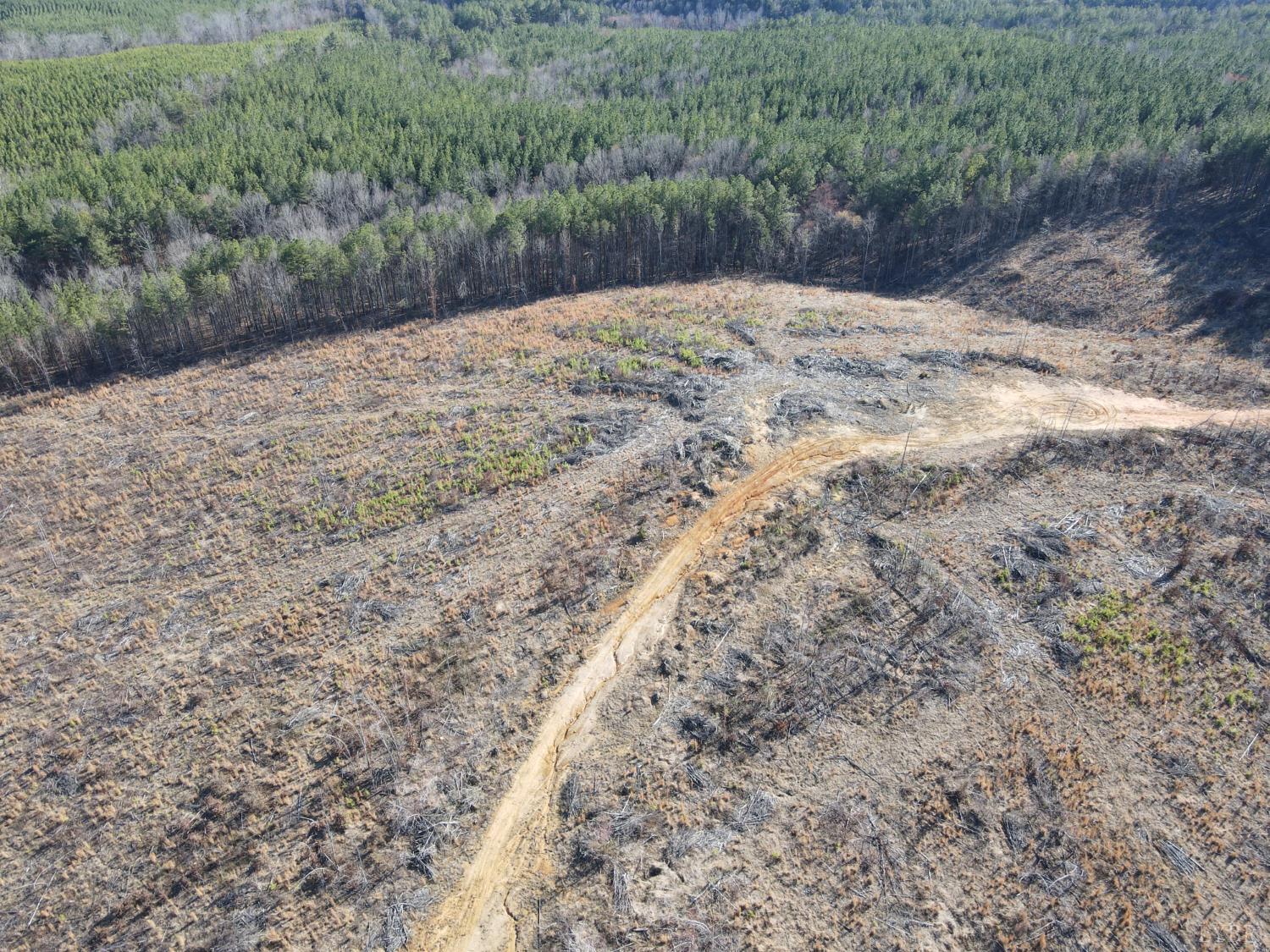 0 East Ferry Road Gladys, VA 24554 - Photo 42 of 45