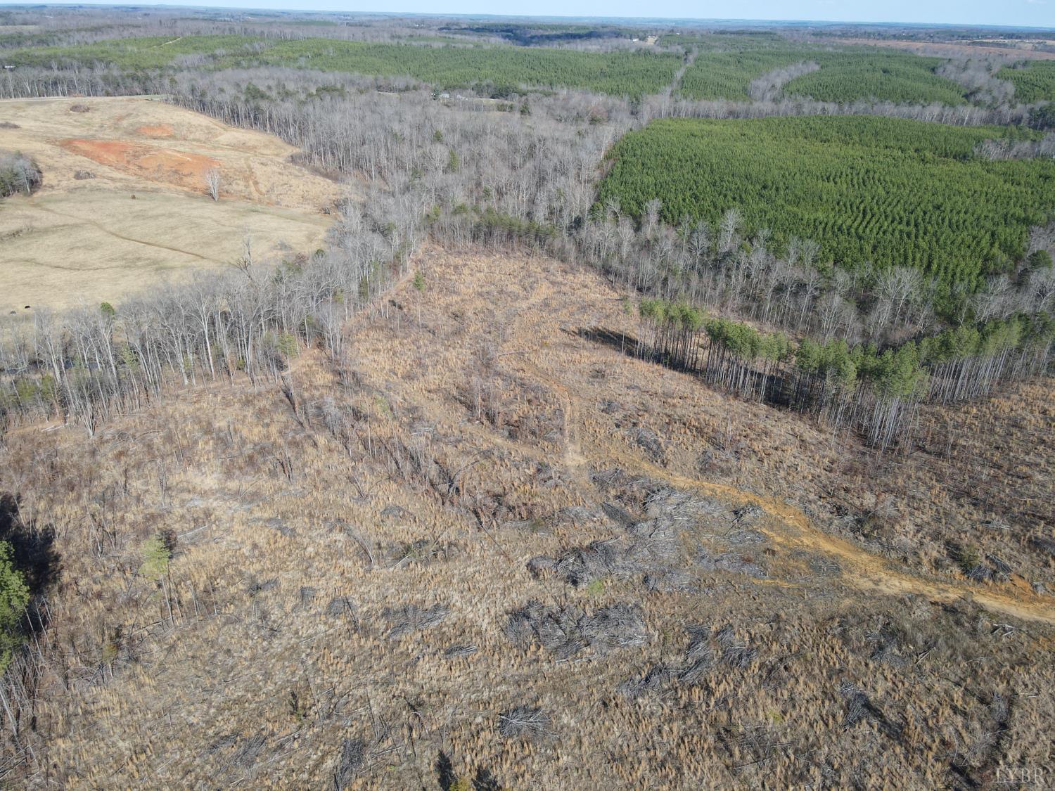 0 East Ferry Road Gladys, VA 24554 - Photo 43 of 45 a view of a field with an ocean view