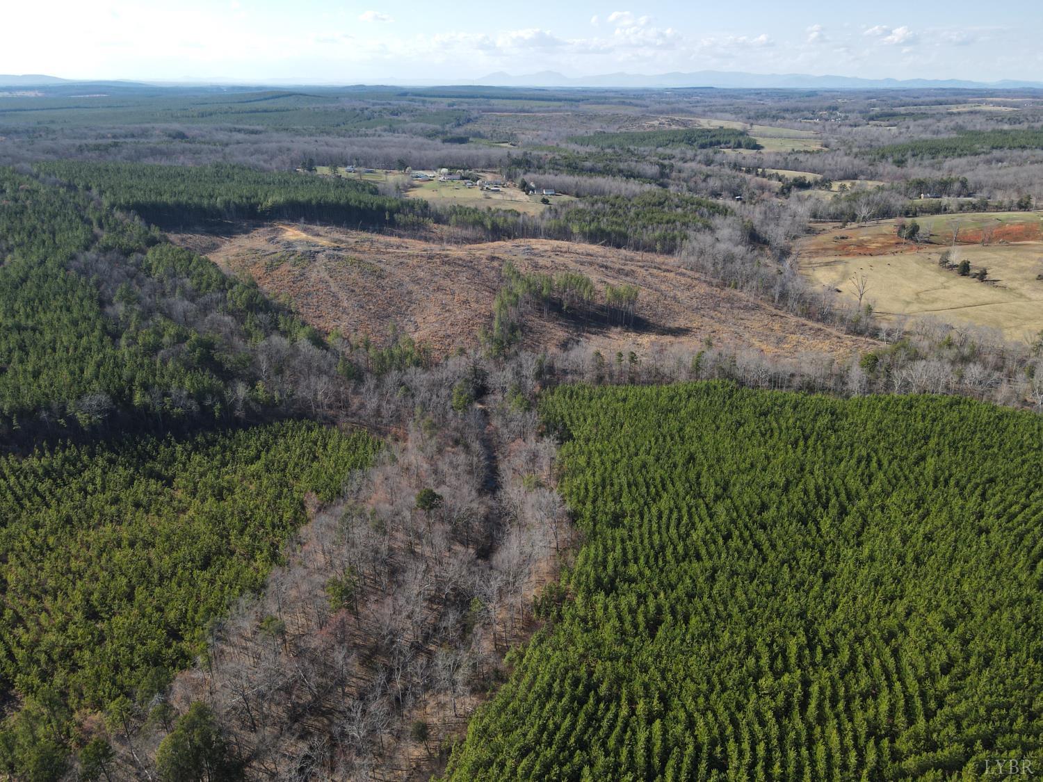 0 East Ferry Road Gladys, VA 24554 - Photo 45 of 45