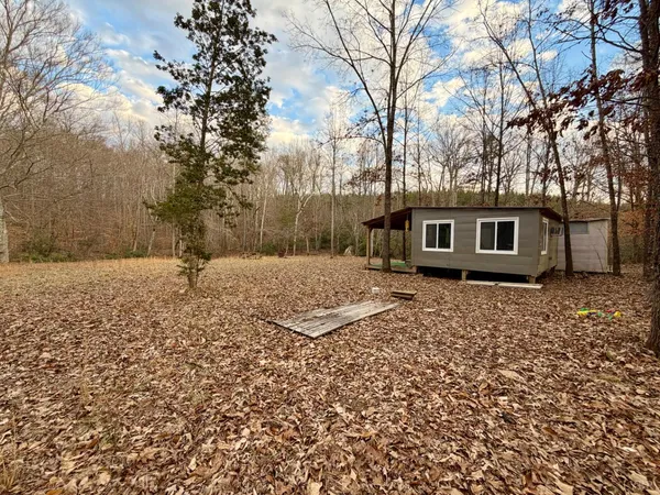 a view of a yard with a tree