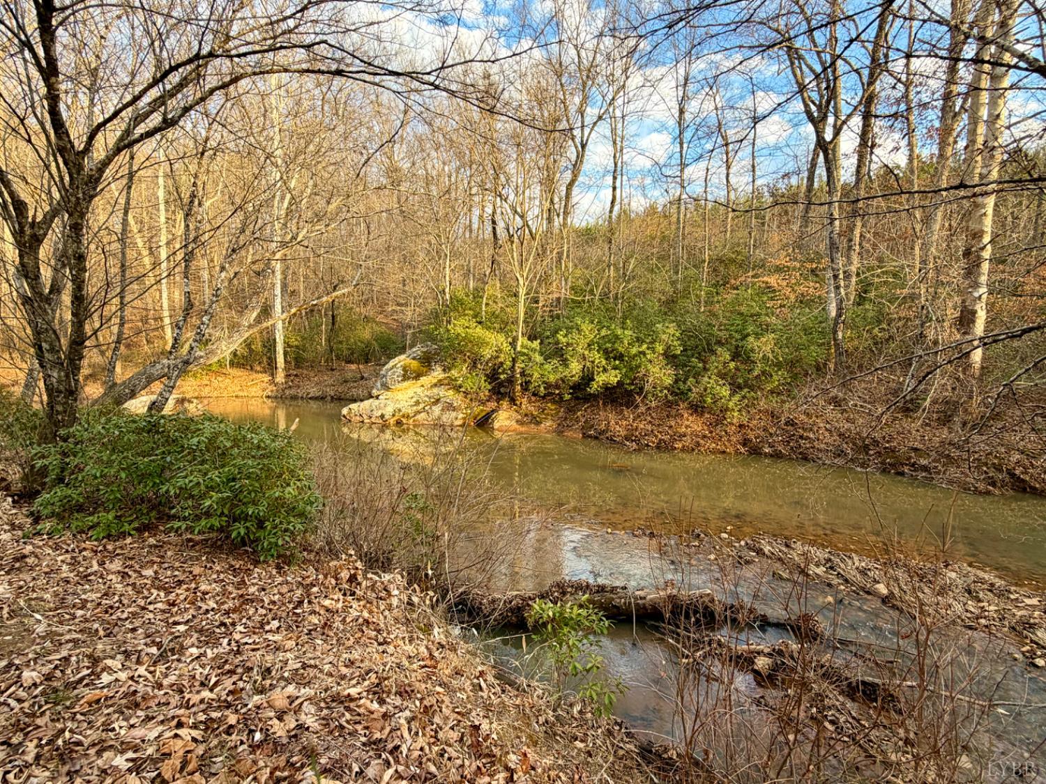 0 East Ferry Road Gladys, VA 24554 - Photo 8 of 45