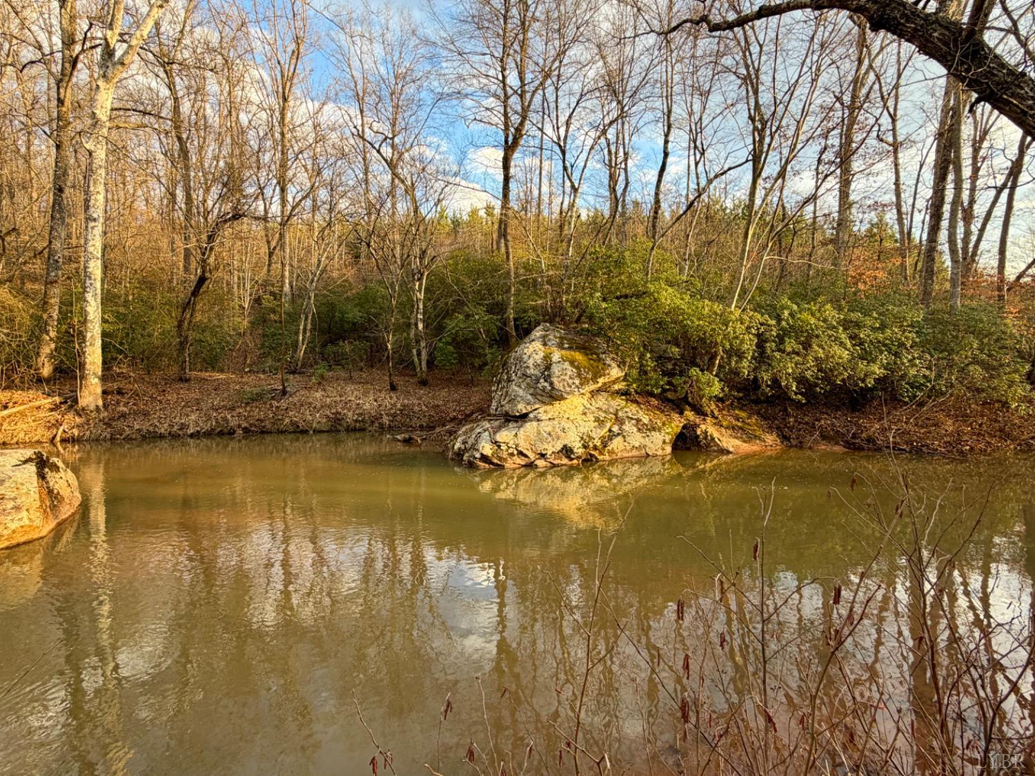 0 East Ferry Road Gladys, VA 24554 - Photo 9 of 45