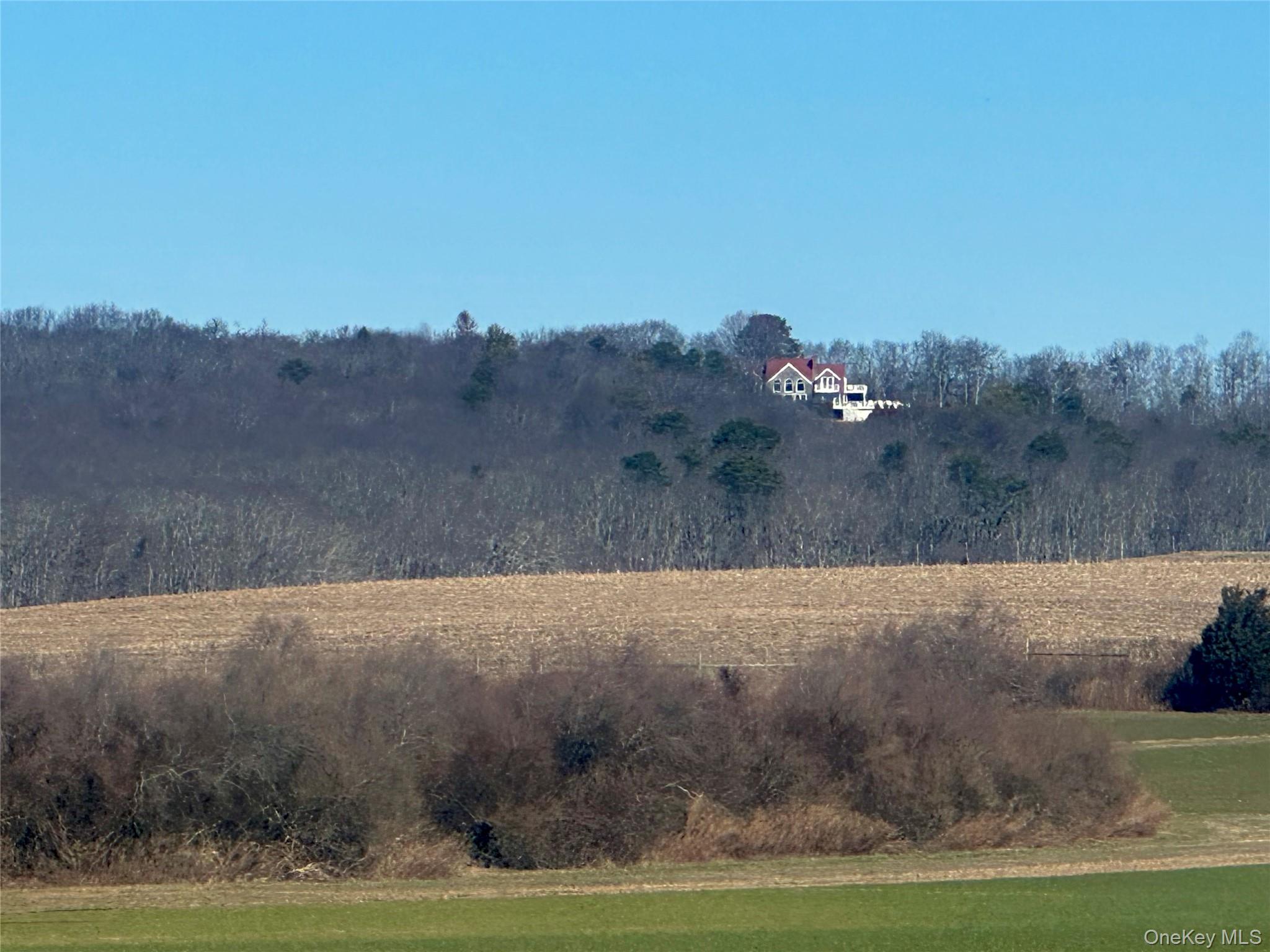 972 Noyac Path Water Mill, NY 11976 - Photo 40 of 40 a view of outdoor space and yard