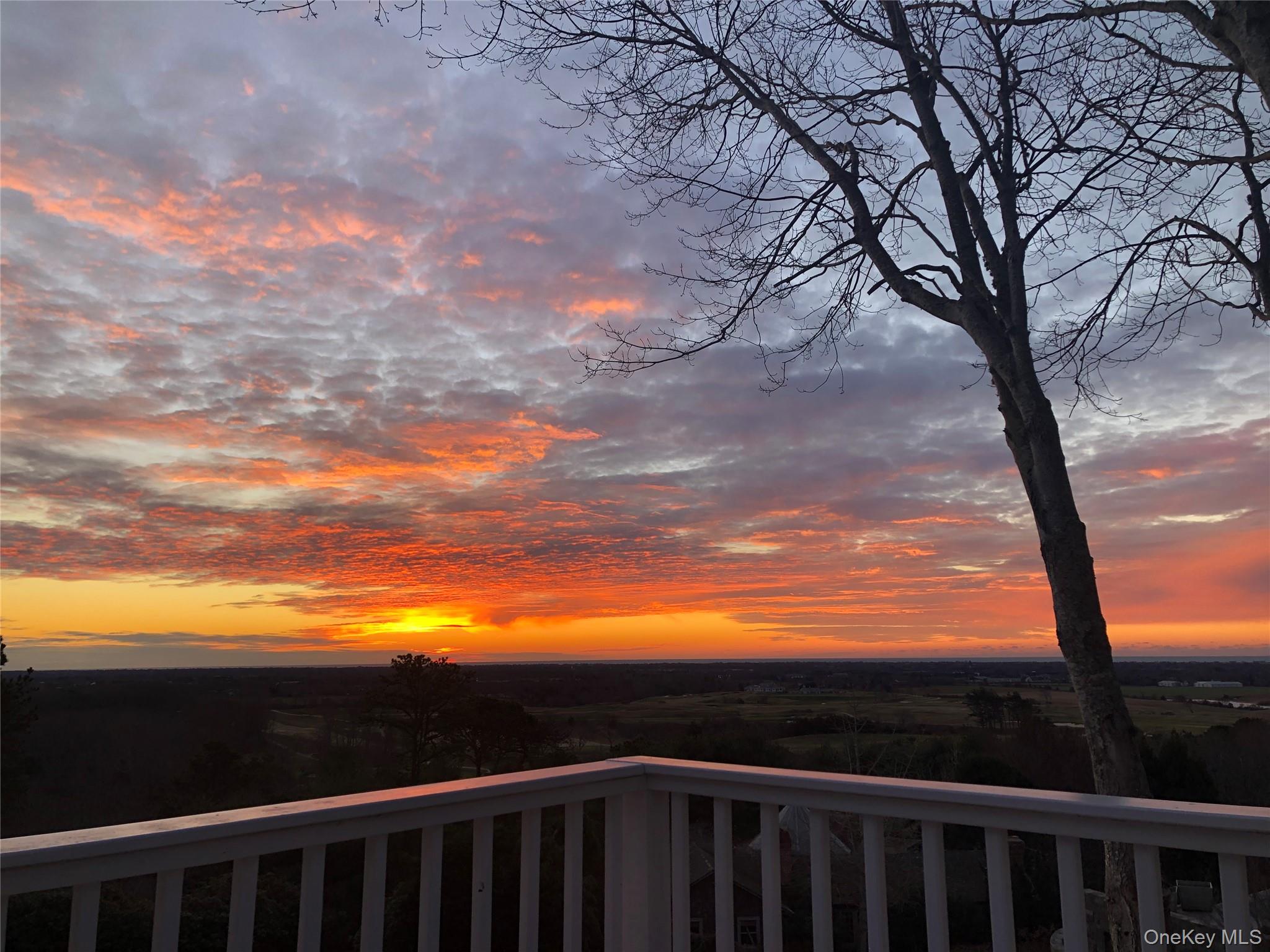 972 Noyac Path Water Mill, NY 11976 - Photo 4 of 40 a view of a yard with large trees