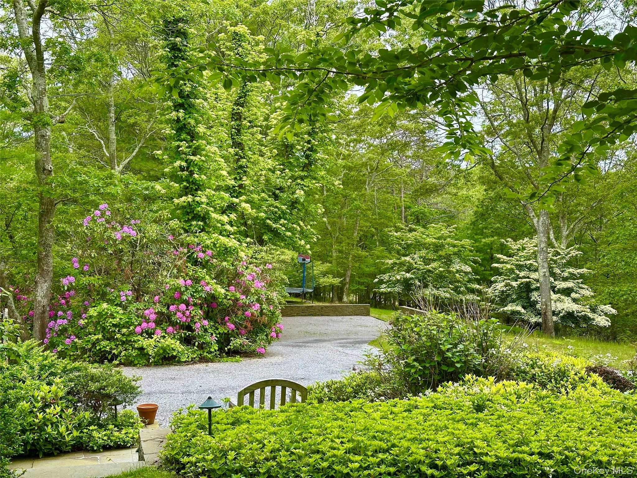 972 Noyac Path Water Mill, NY 11976 - Photo 5 of 40 a view of a street with a tree