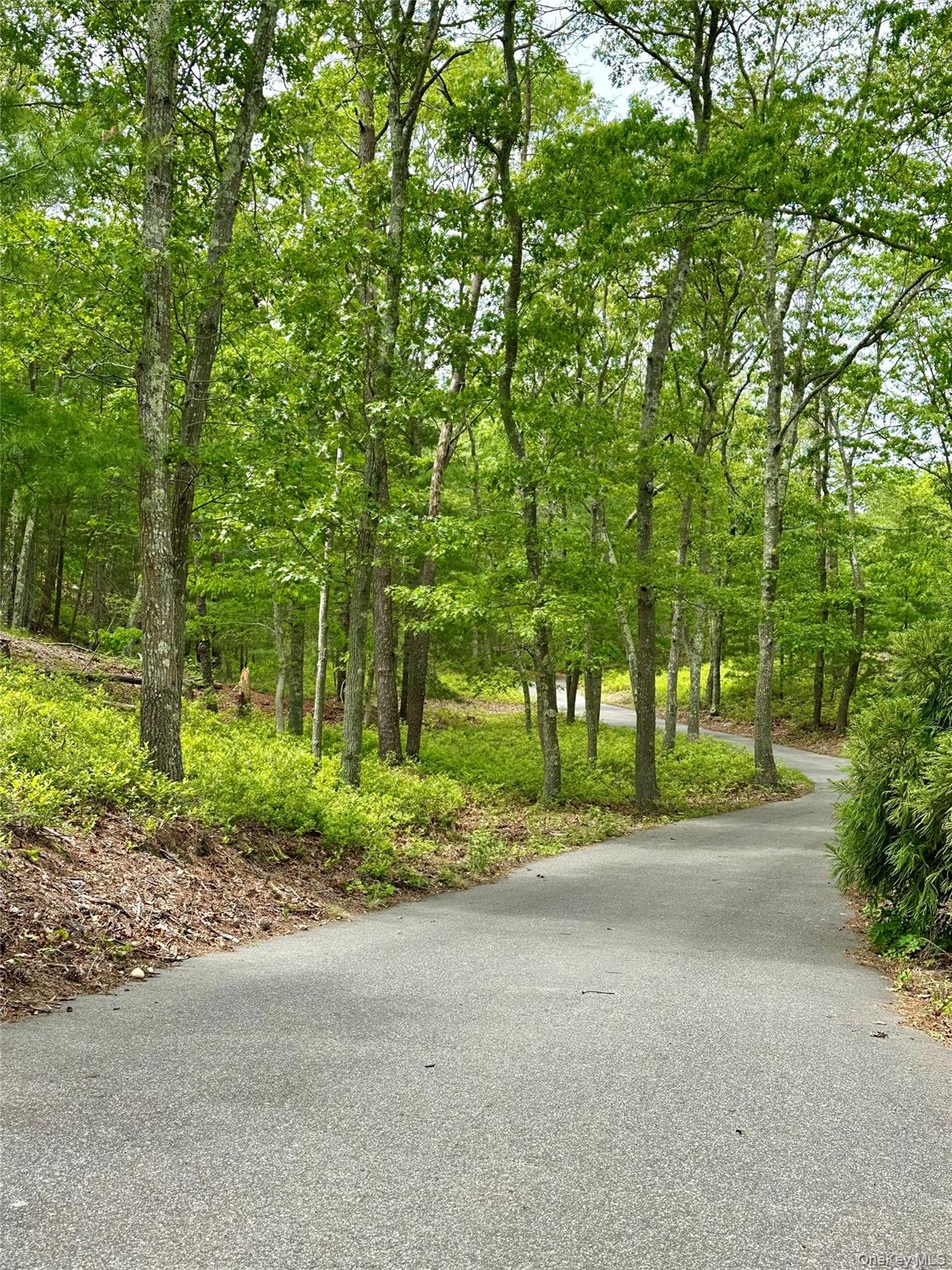 972 Noyac Path Water Mill, NY 11976 - Photo 6 of 40 a view of a house with large trees and plants