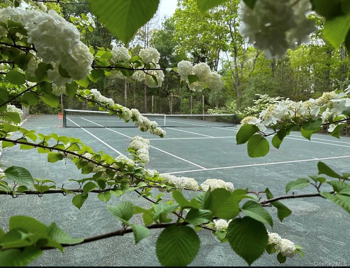 972 Noyac Path Water Mill, NY 11976 - Photo 9 of 40 a view of a table with potted plants