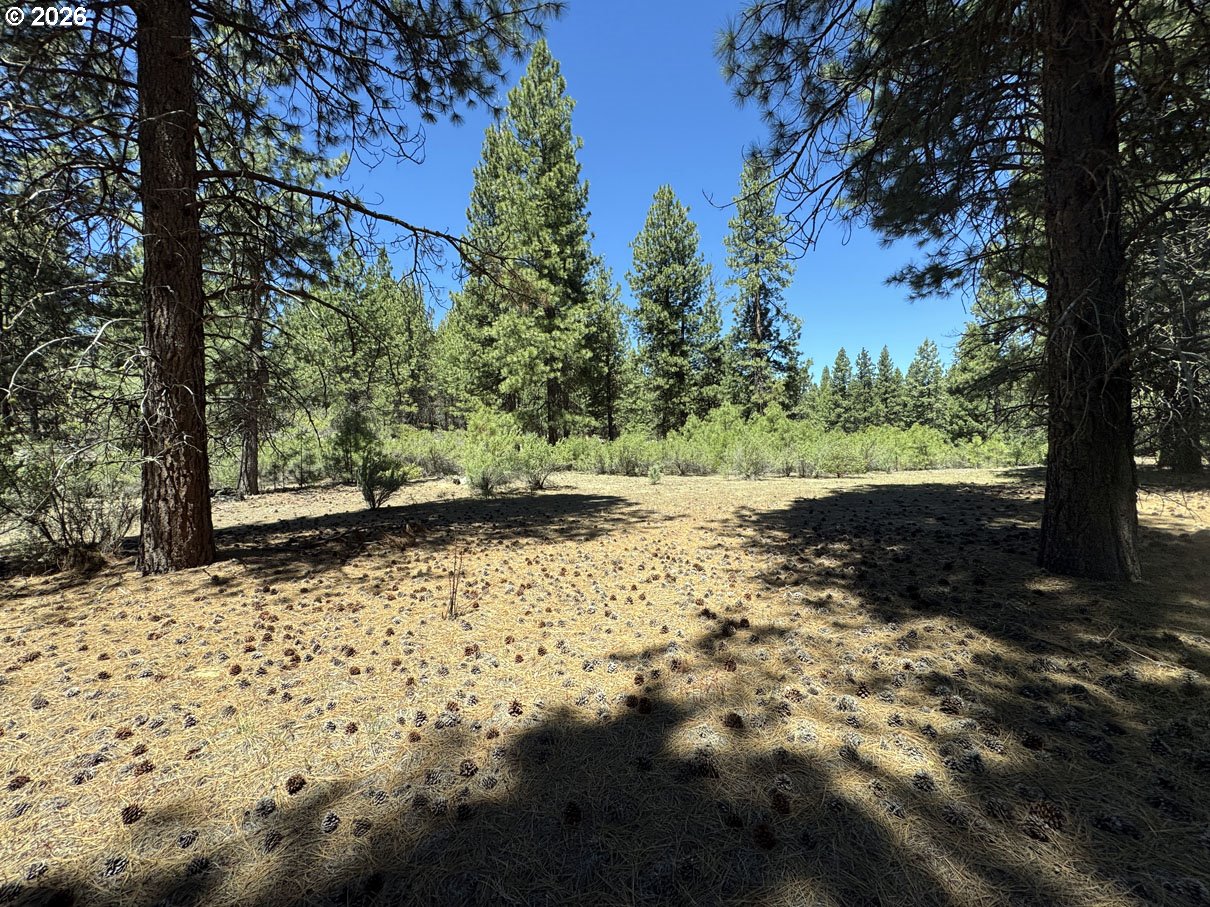 Friendship Drive, Unit 15 Chiloquin, OR 97624 - Photo 28 of 41