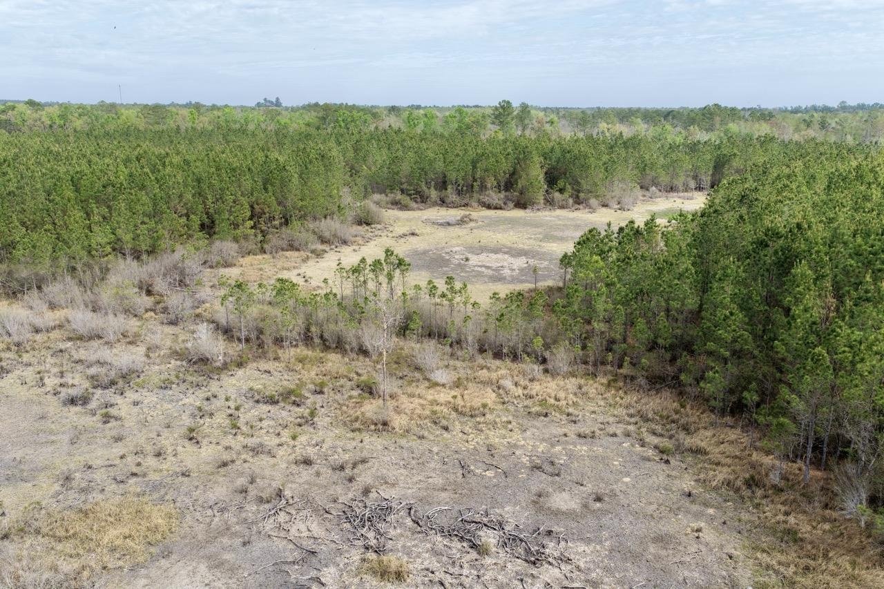 Vacant Southwest Vacant Sw Captain Brown Road Madison, FL 32340 - Photo 16 of 37
