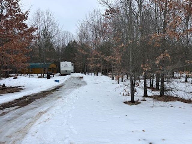Lot B West 14 Road Mesick, MI 49668 - Photo 4 of 37
