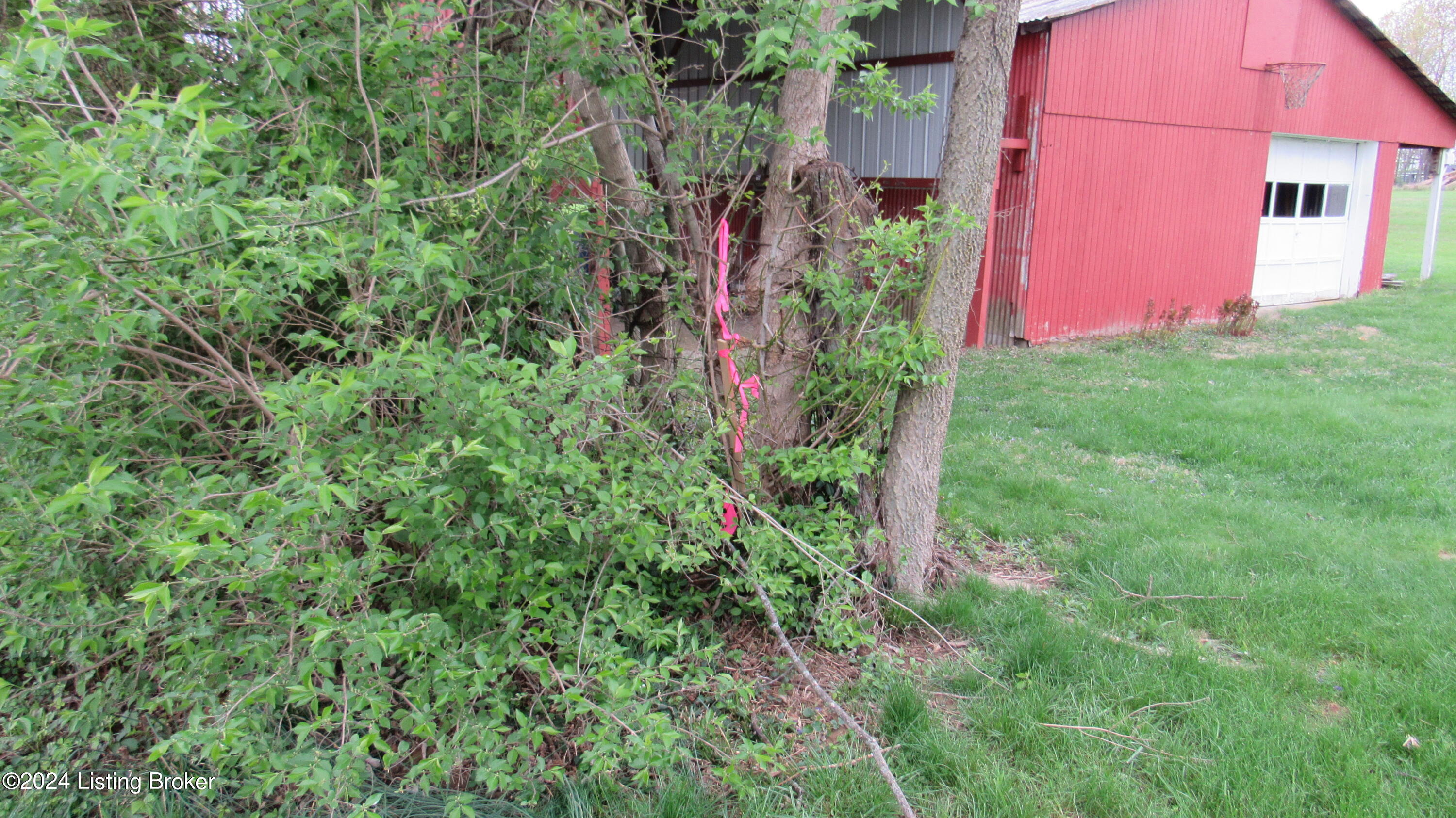 0 Perry Neal Road Crestwood, KY 40014 - Photo 21 of 35 NE corner of back 4 AC