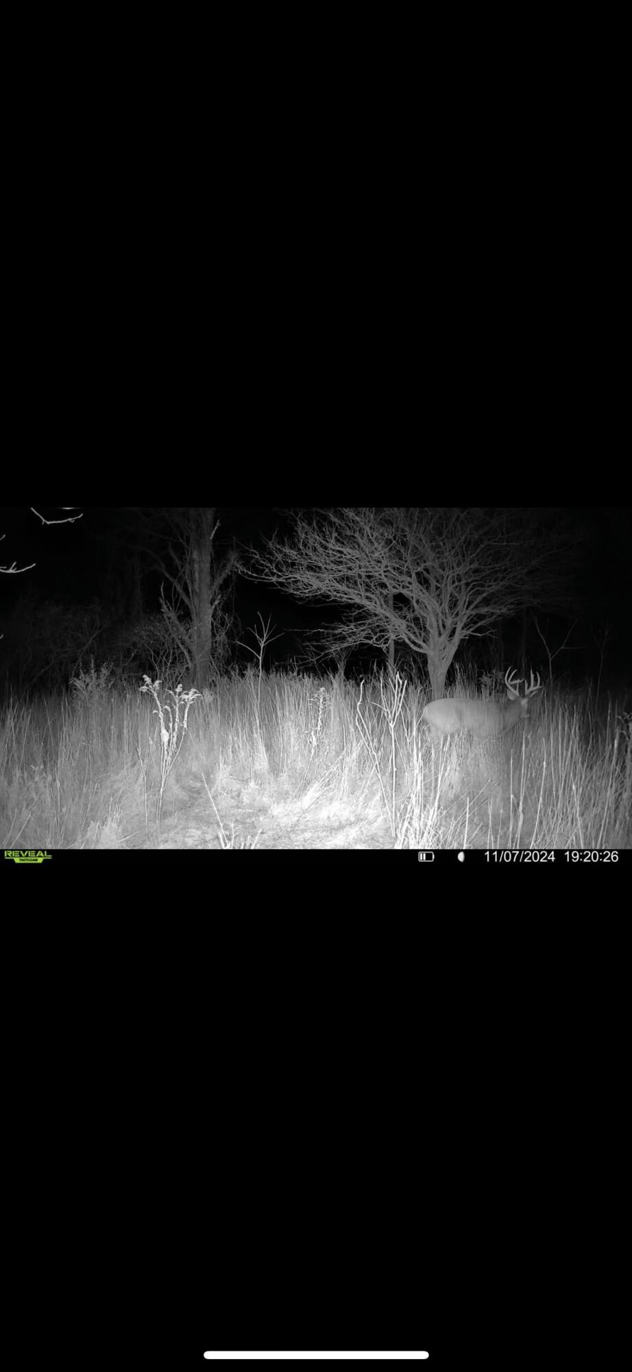 0 Keim Road Clarksville, MI 48815 - Photo 12 of 15 tempImage8cmNDy
