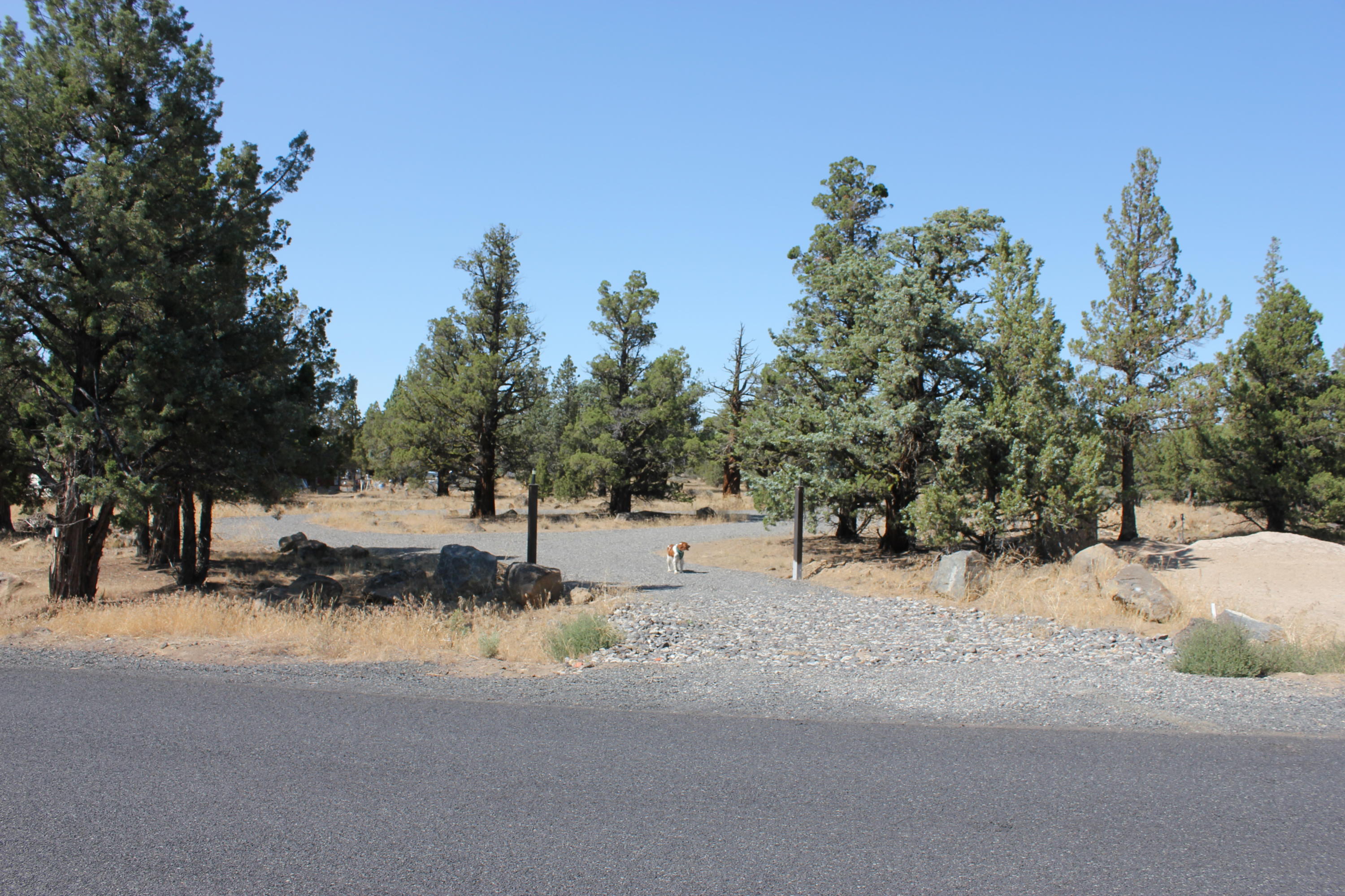 20914 Southwest Gift Road Bend, OR 97703 - Photo 17 of 19 a view of a snow on the side of a road