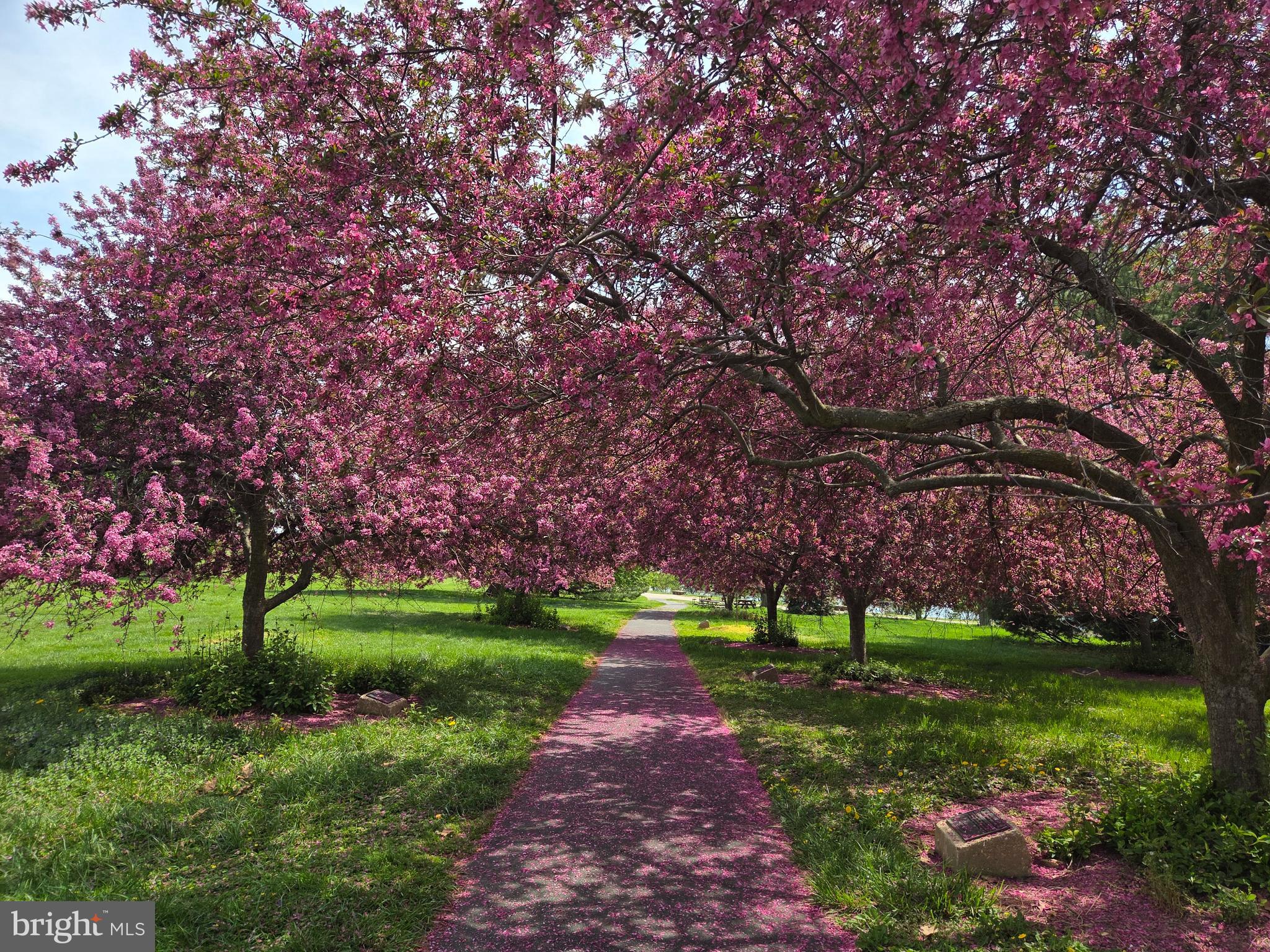924 South Paca Street Baltimore, MD 21230 - Photo 9 of 14 Gorgeous at the Fort in the Sprint