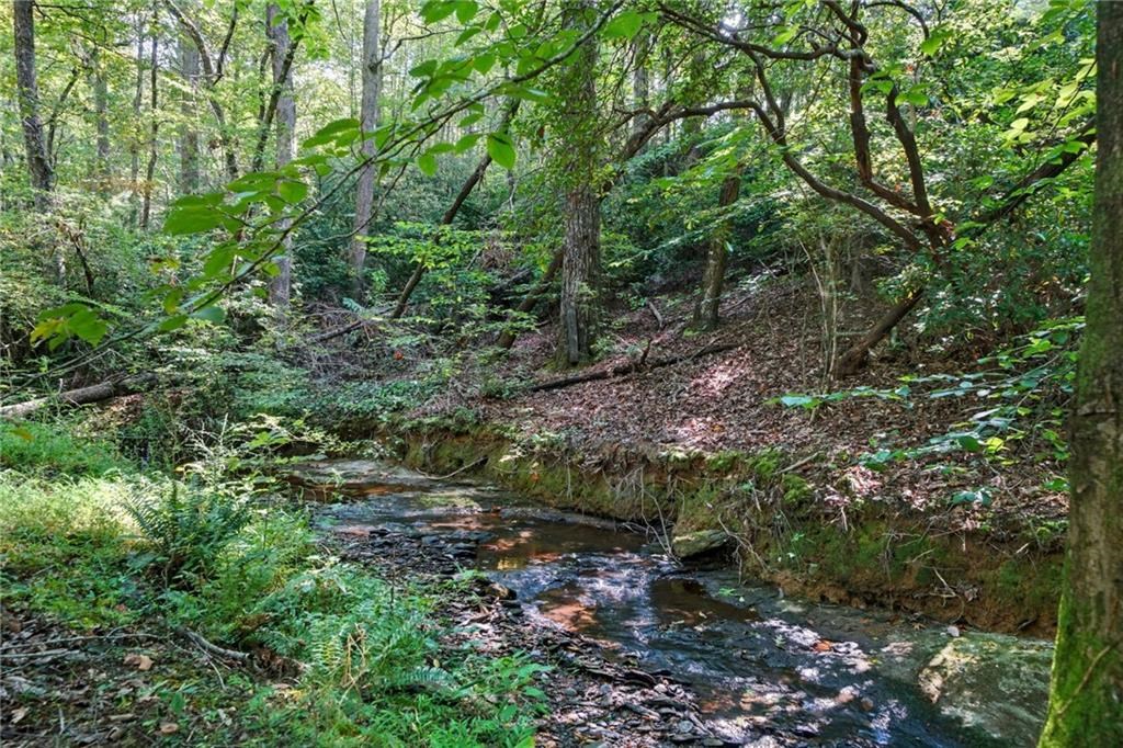 491 Hyde Road Jasper, GA 30143 - Photo 2 of 60 Creek