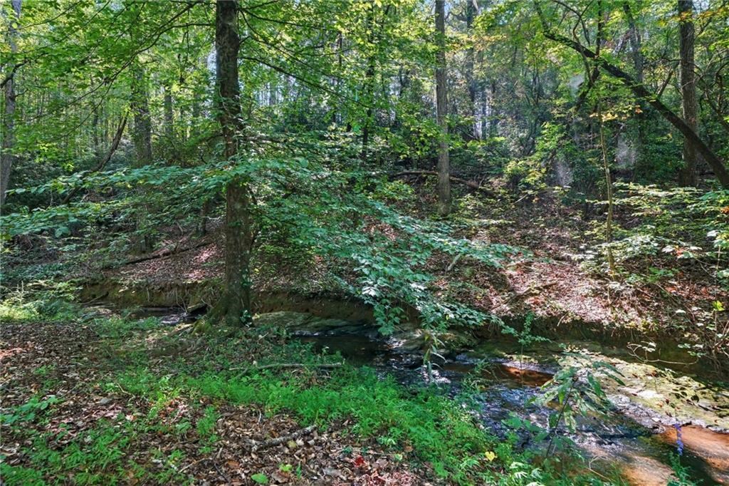 491 Hyde Road Jasper, GA 30143 - Photo 47 of 60 Creek